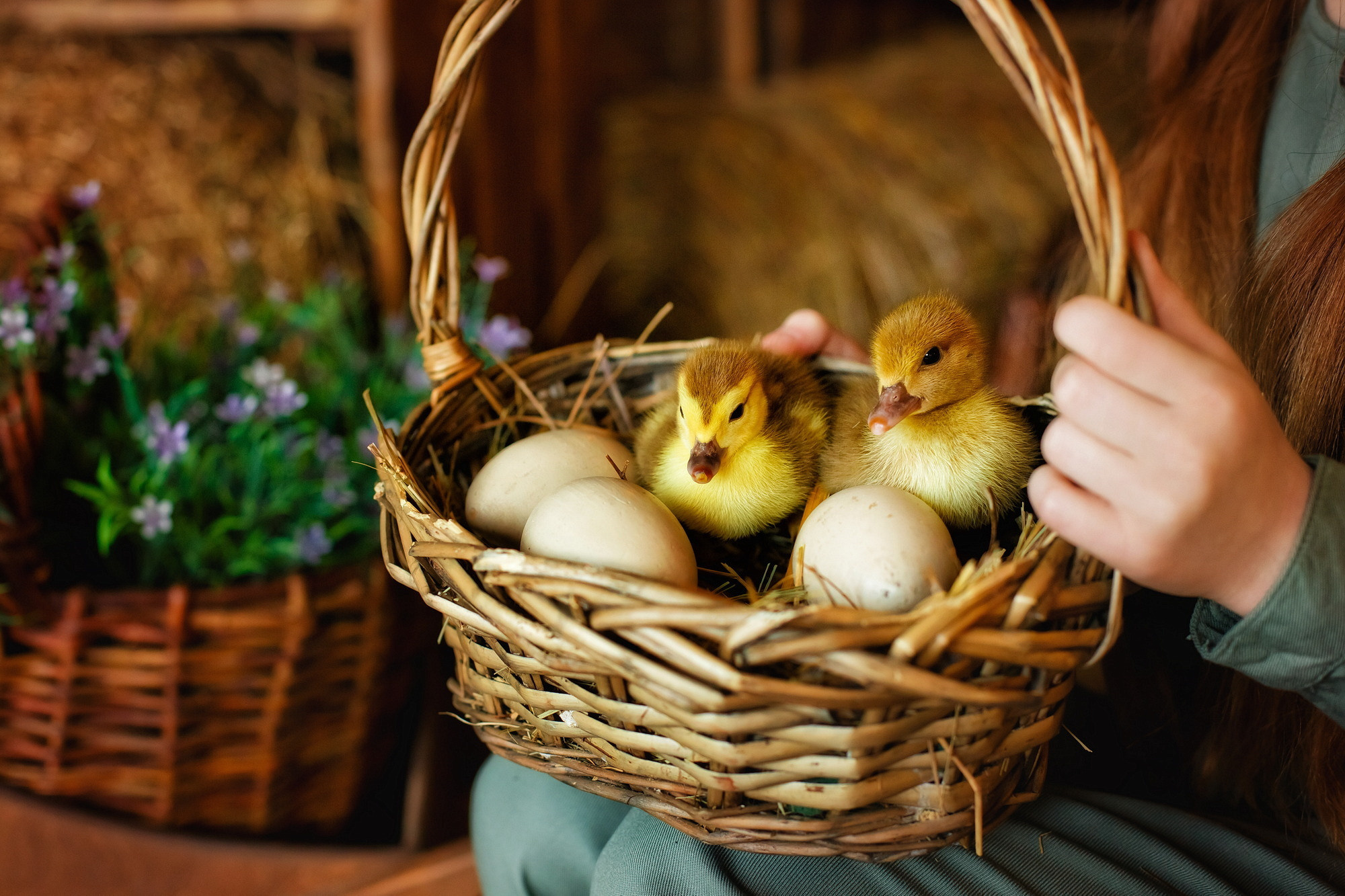 . Фотограф в Москве и Одинцово