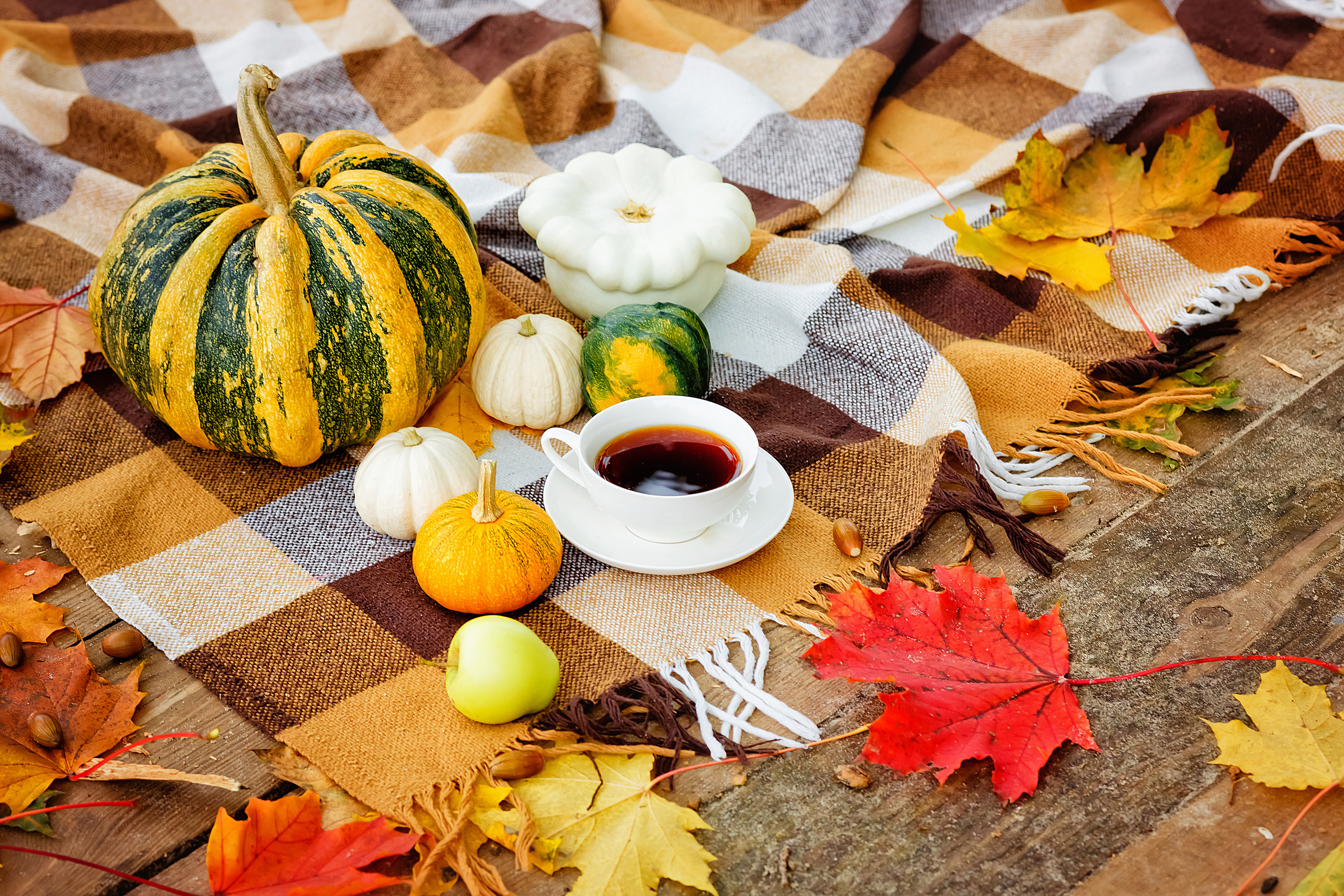 . Фотограф в Москве и Одинцово
