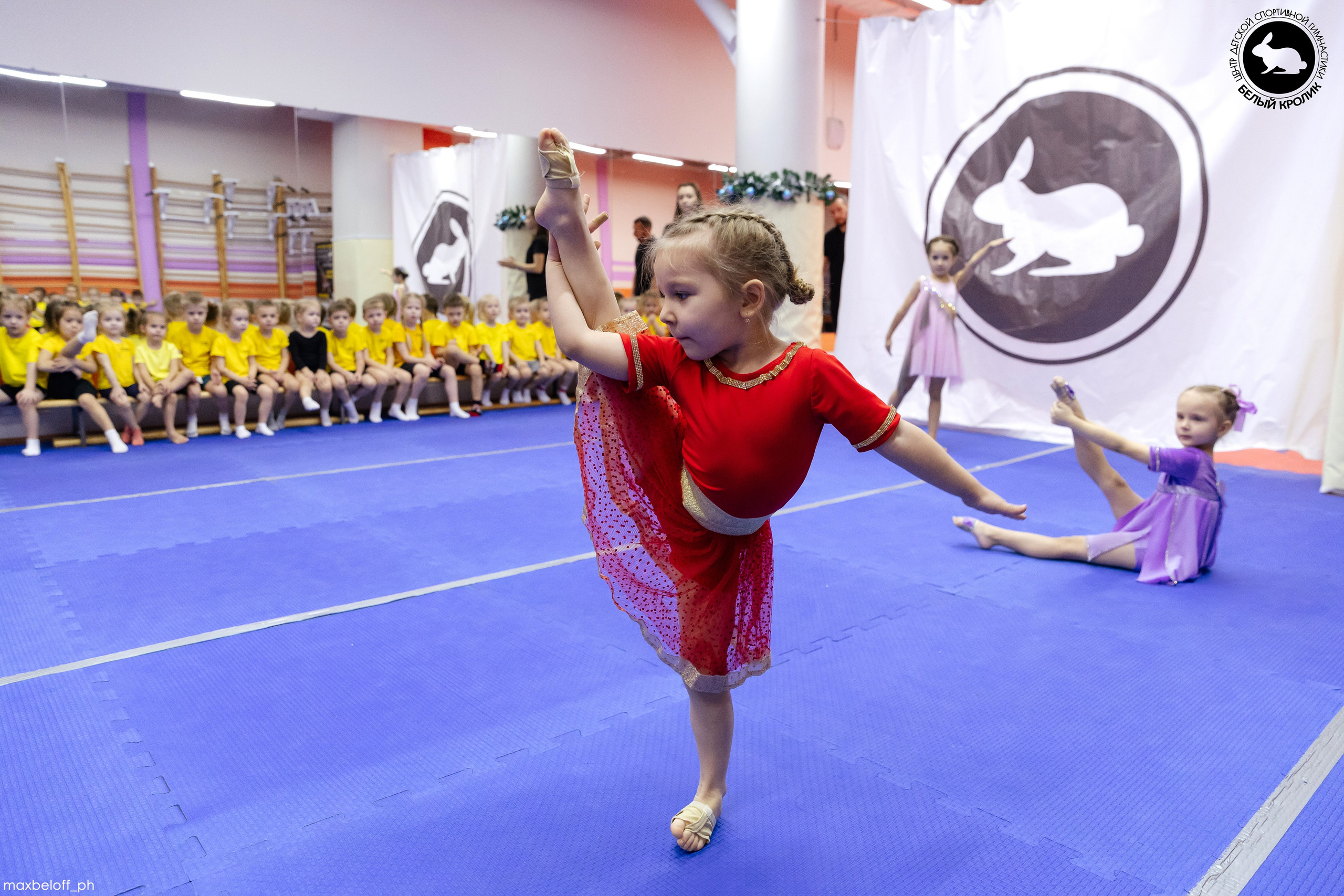 Белый кролик. Соревнования. Семейный фотограф — Макс Белогрудов