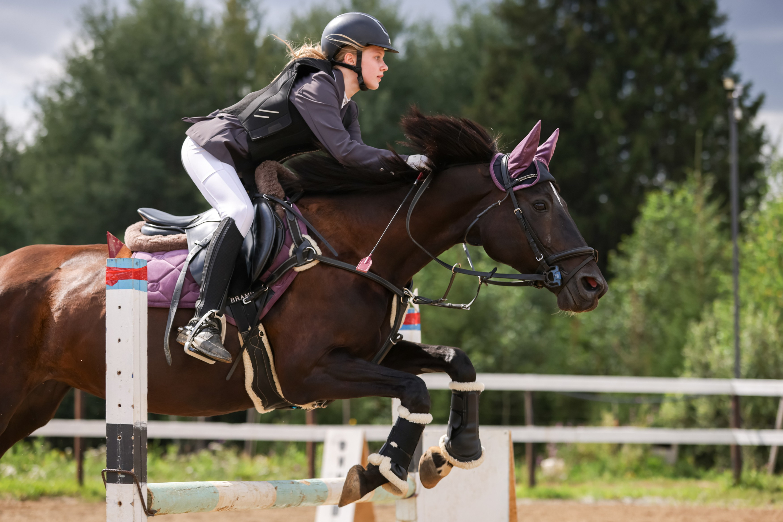 Репортажная съёмка спортивных мероприятий. ESHE_PHOTO Фотограф анималист в Москве и Московской области