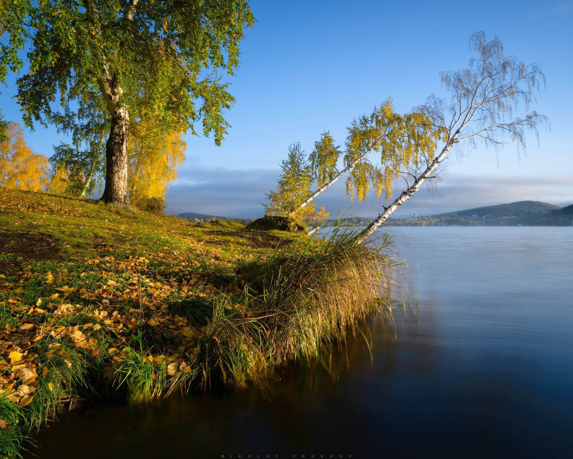 Осенний пейзаж на берегу Черноисточинского пруда с березами.