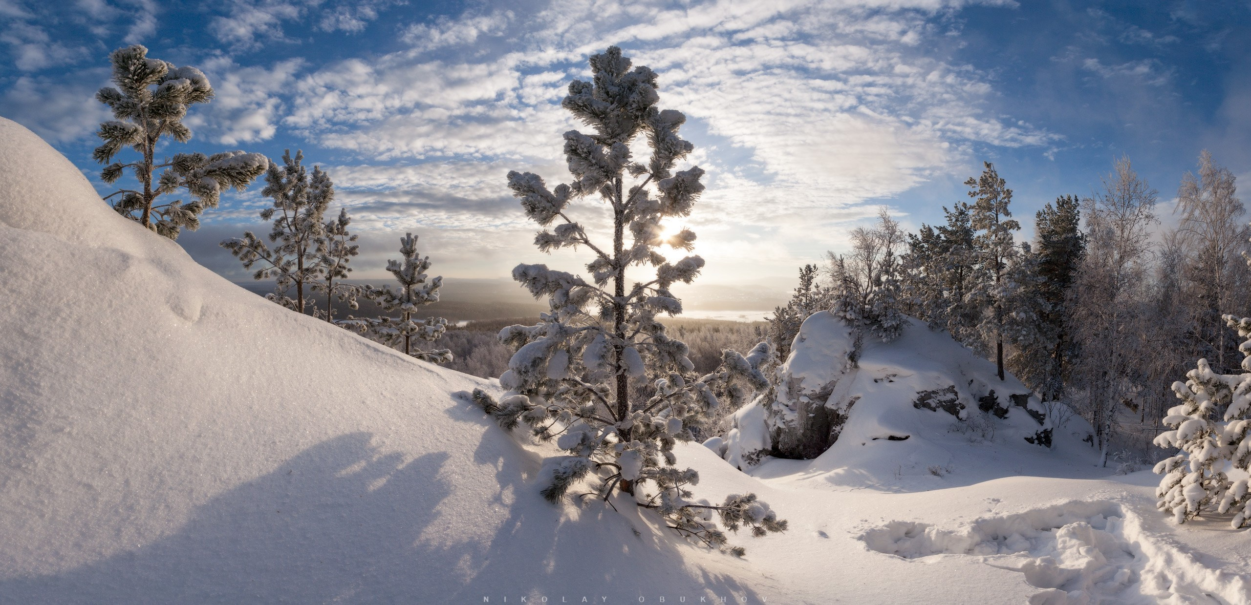 Зимний день в лесу - панорама заснеженных деревьев.