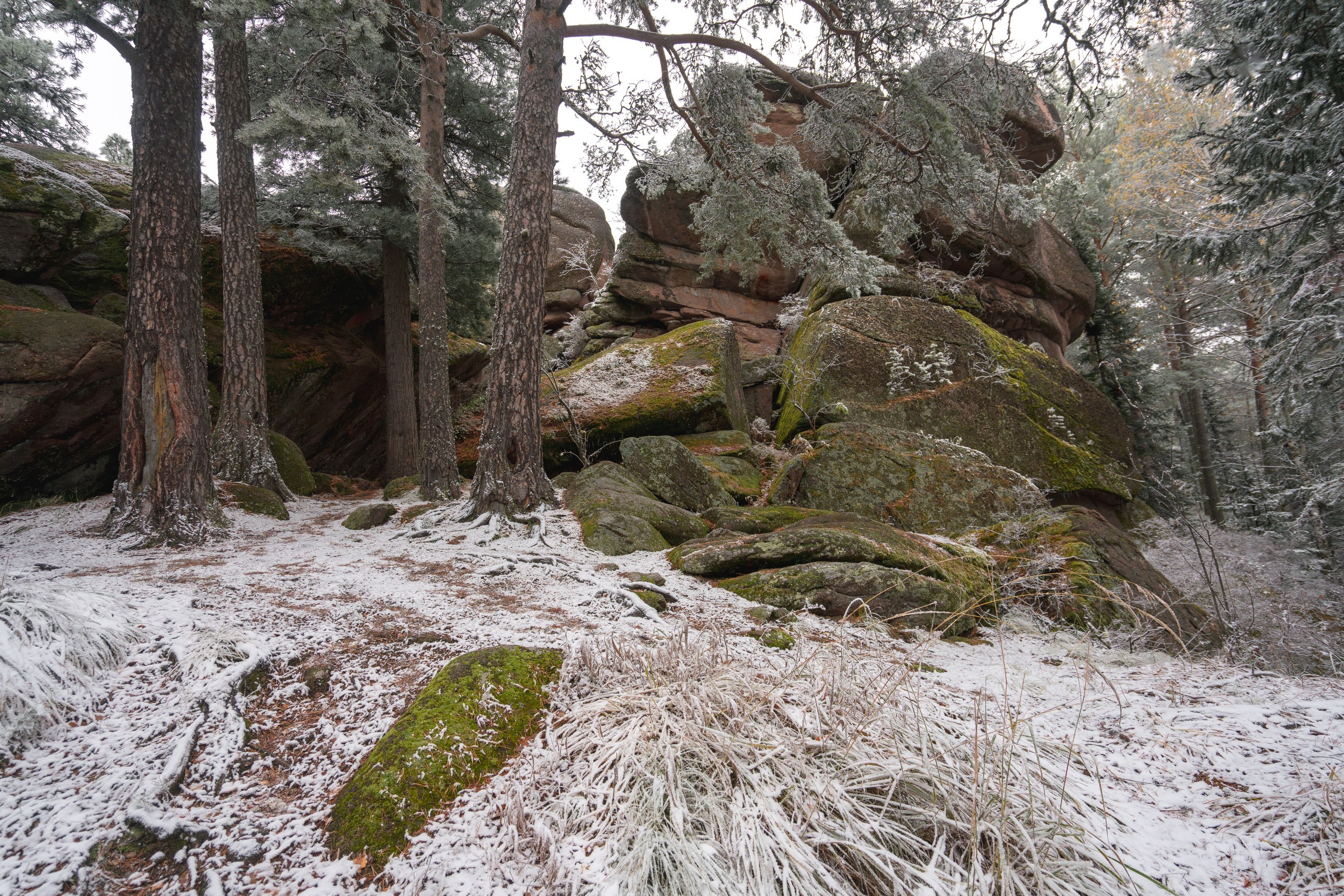 Красноярские Столбы. Фотограф в Красноярске Нерозя Александр. Пейзаж, природа, портрет