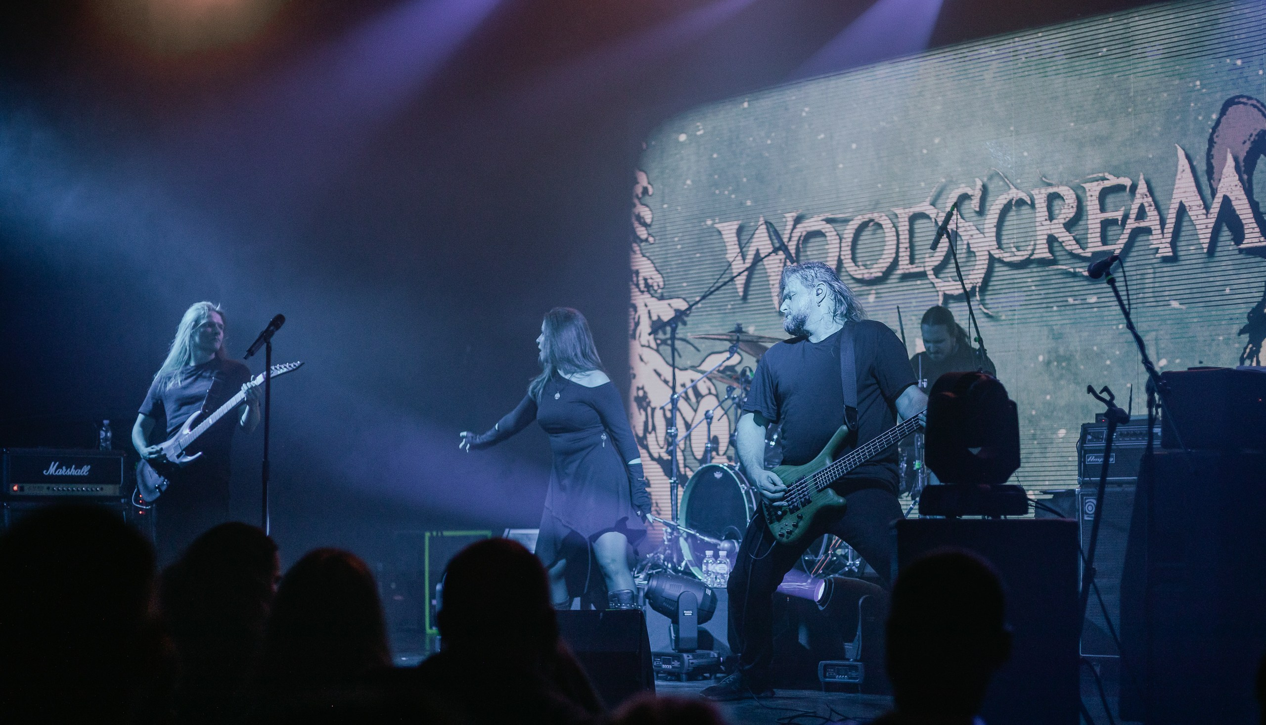 Woodscream, клуб Космонавт СПб, Фолк Фест Стужа