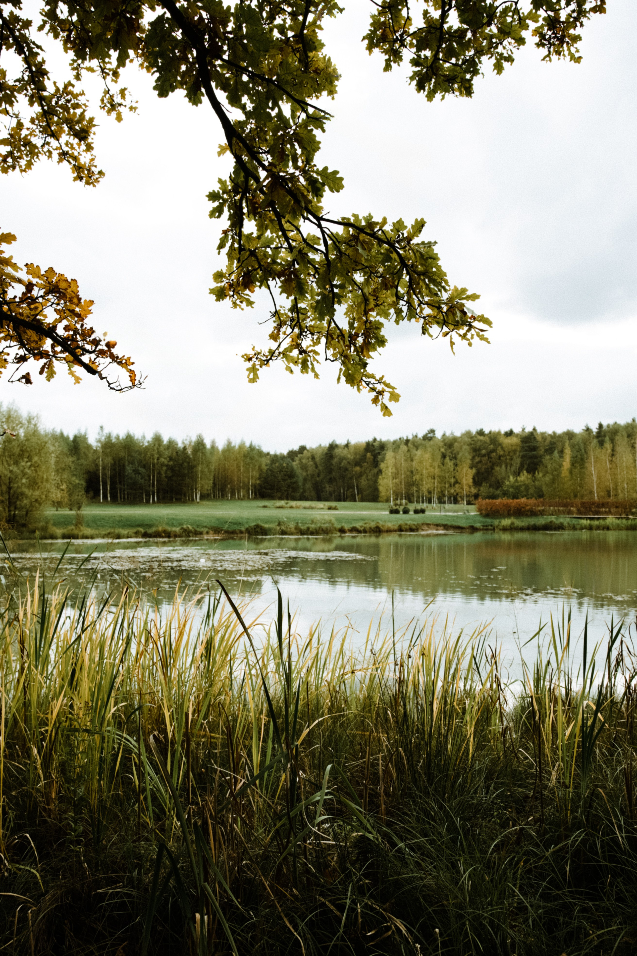 Осень 2025. Фотограф из Москвы — DASHA NOVA | Авторская фотография в разных жанрах
