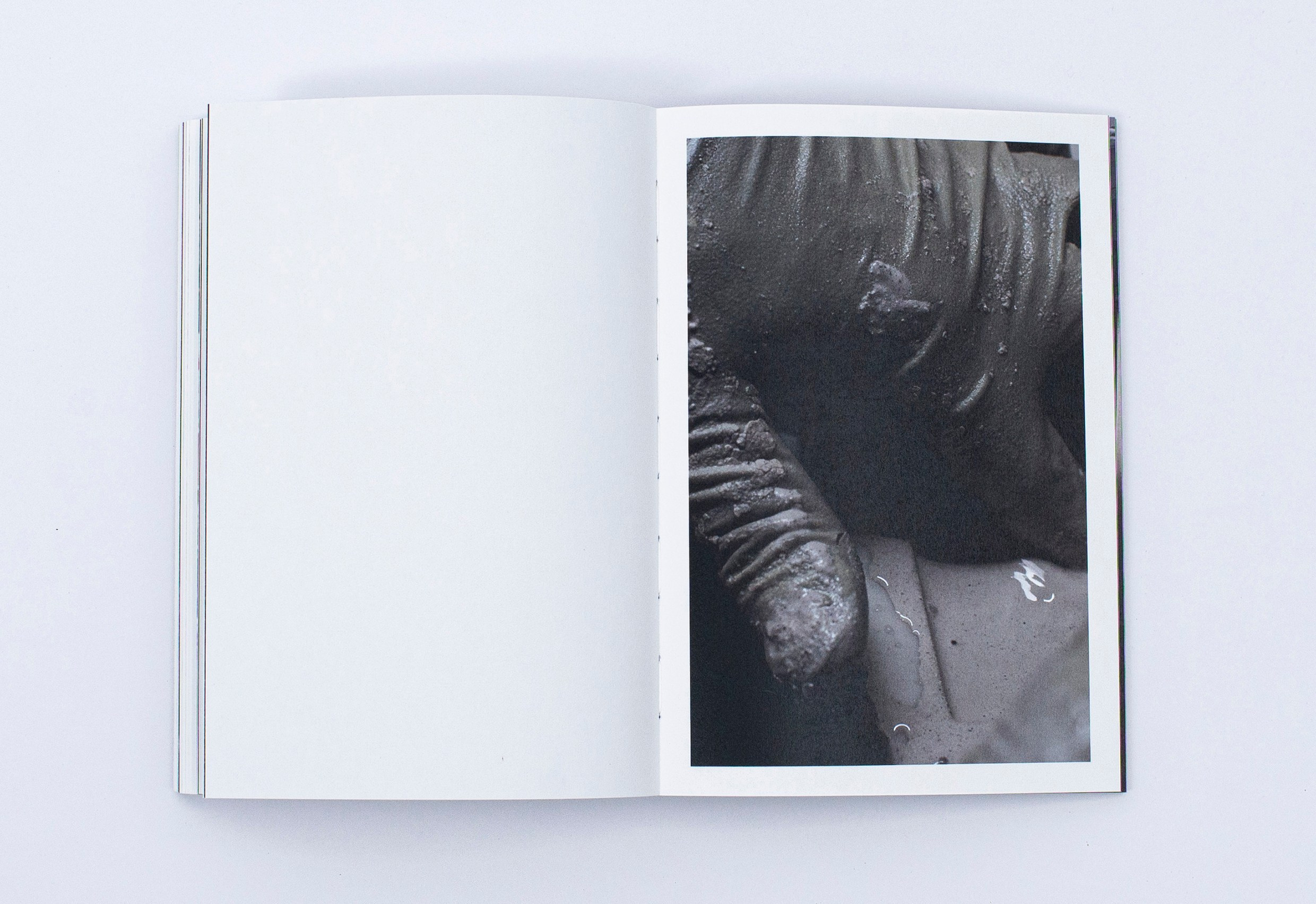 Книга. Фотограф в Москве Алейникова Евгения