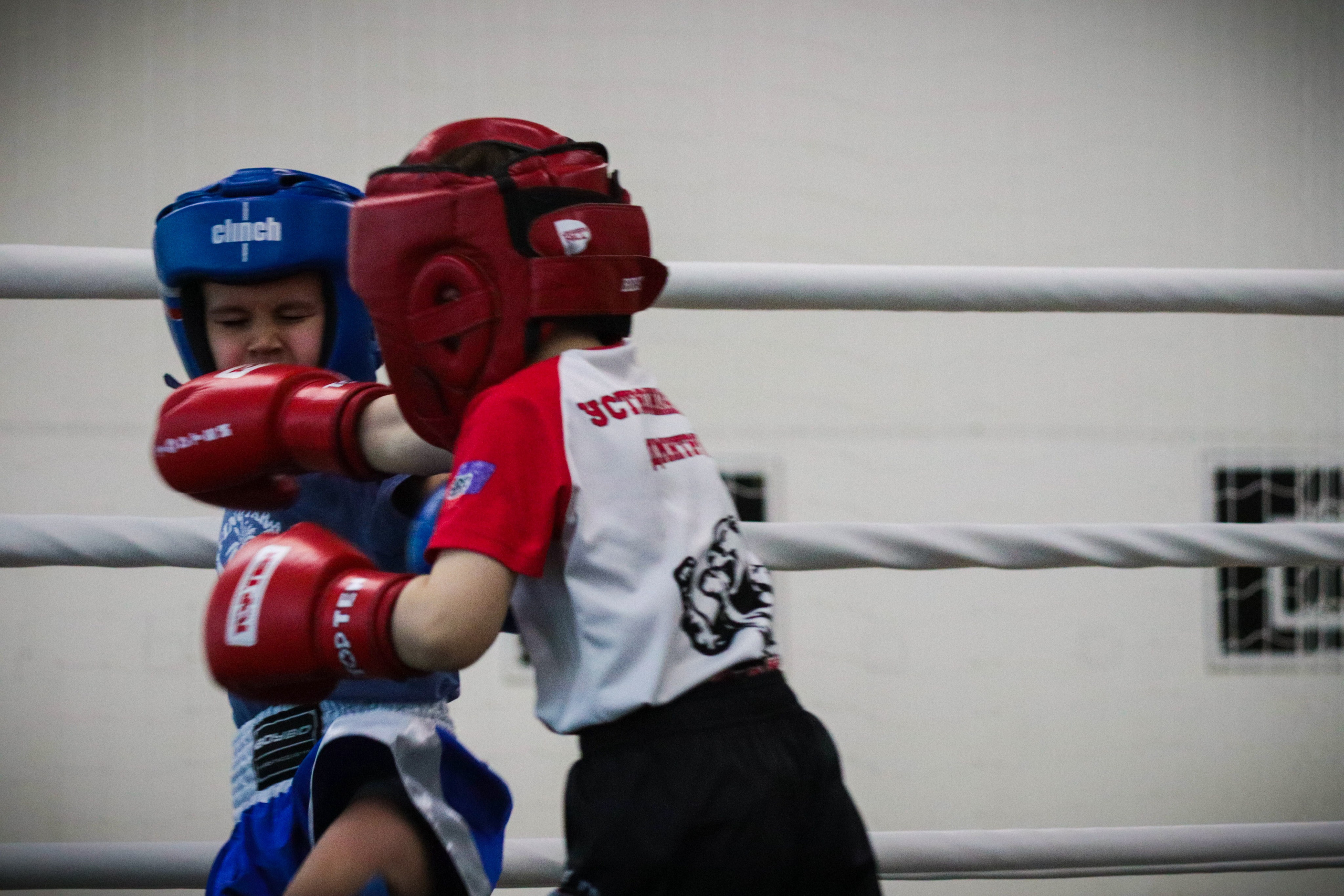 Туртир по кикбоксингу. Фотограф и видеограф в Бугульме Аня Трутнева