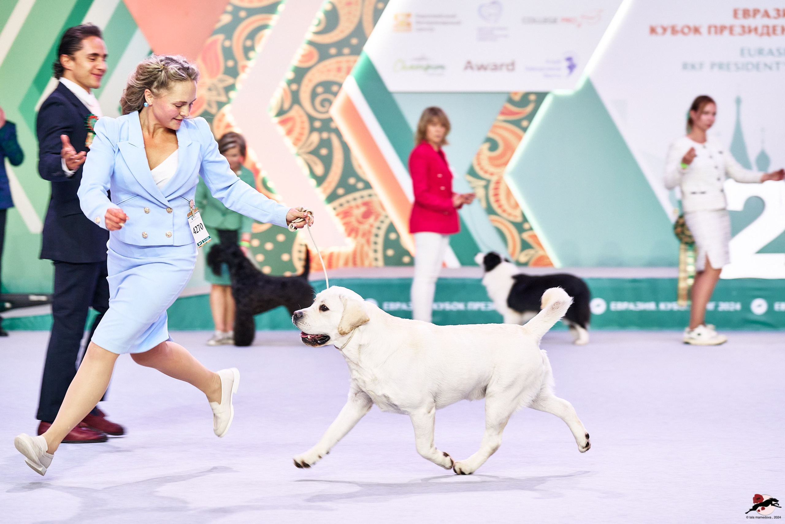 16.11.2024 «ЕВРАЗИЯ. КУБОК ПРЕЗИДЕНТА РКФ 2024»