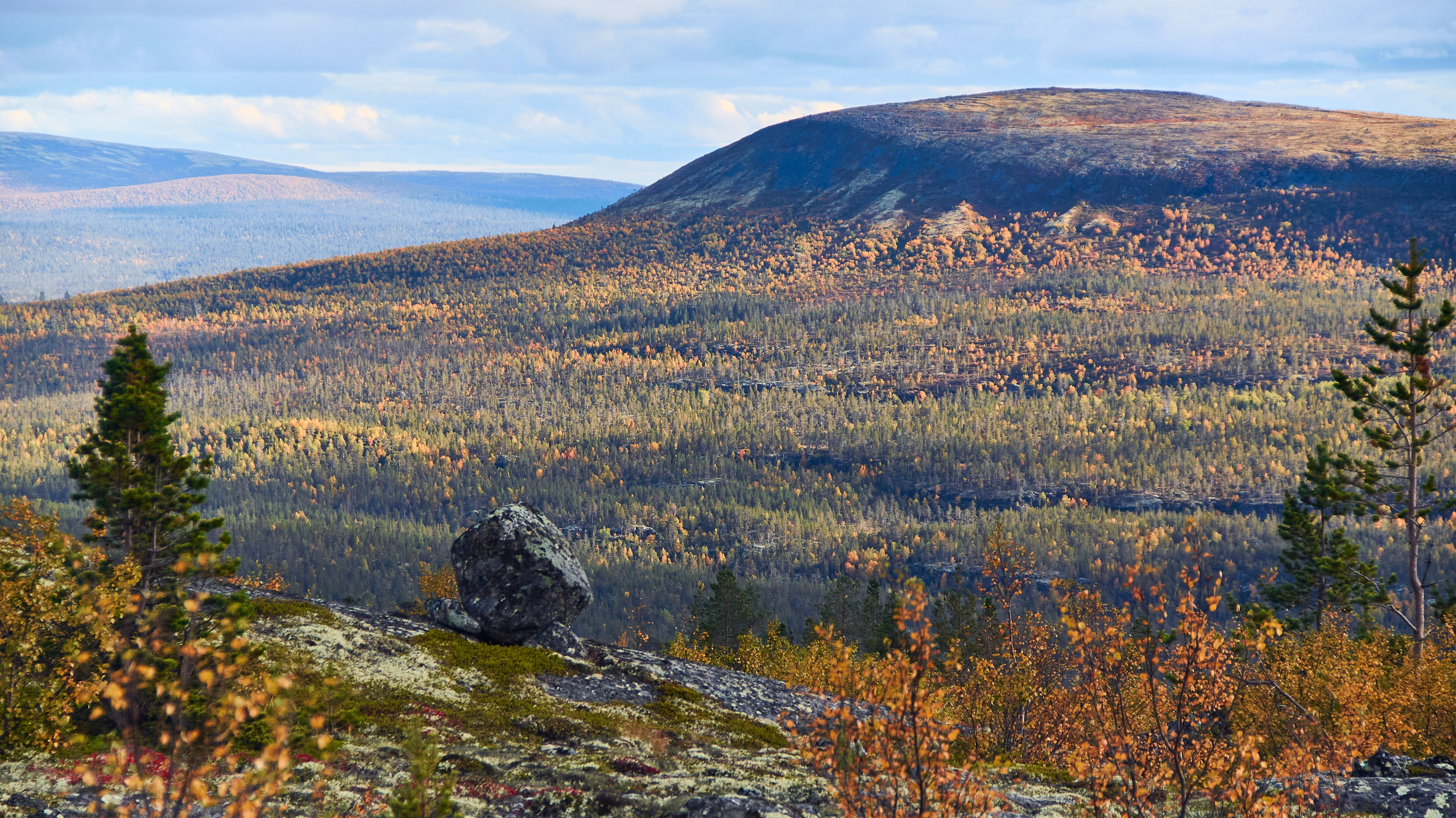 Тундра Лес и Сопки. Пейзажи Крайнего Севера. Баренцево море, Рыбачий, Средний, Немецкий