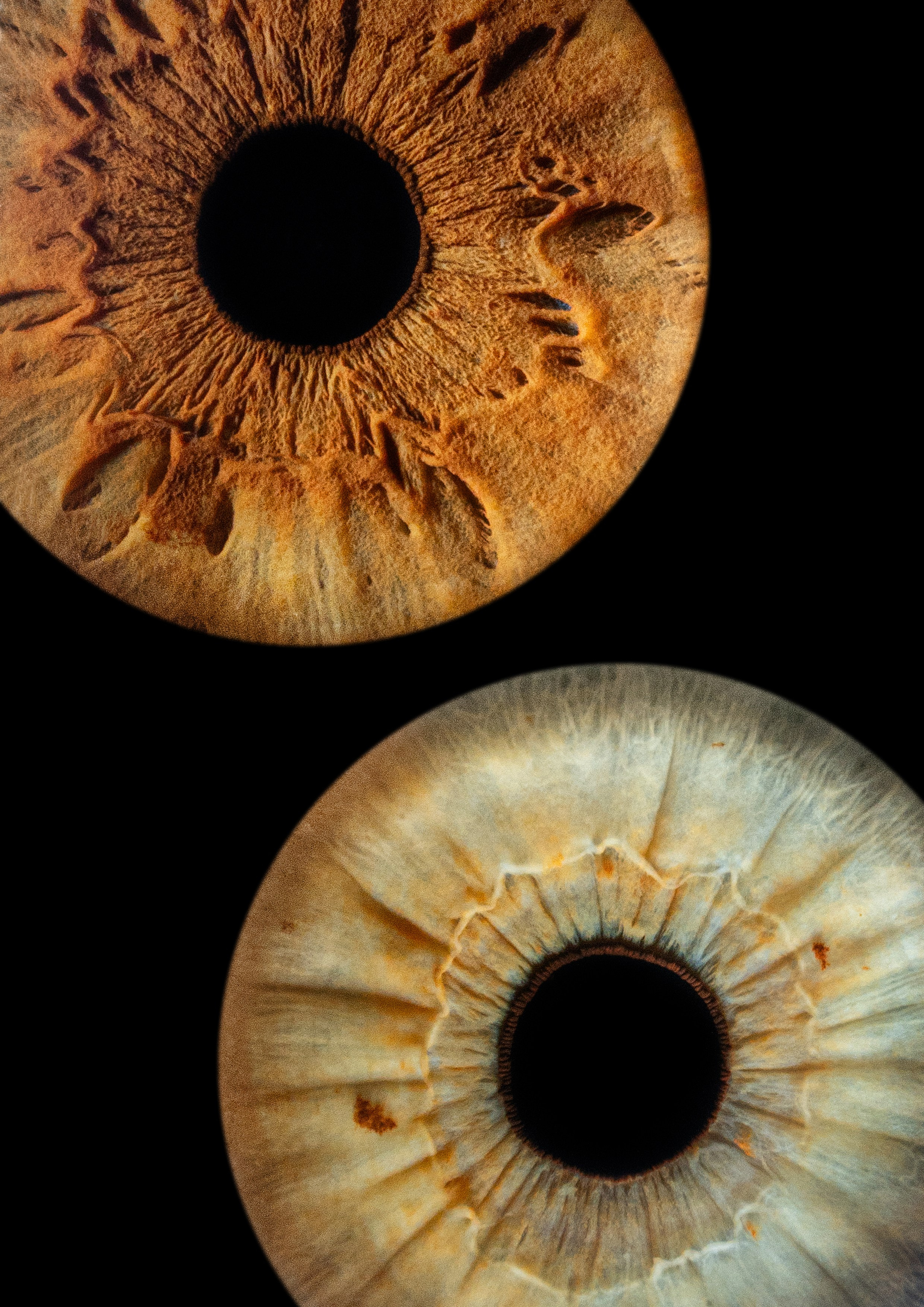 фотография радужки глаза Хабаровск фото радужки глаза Хабаровск