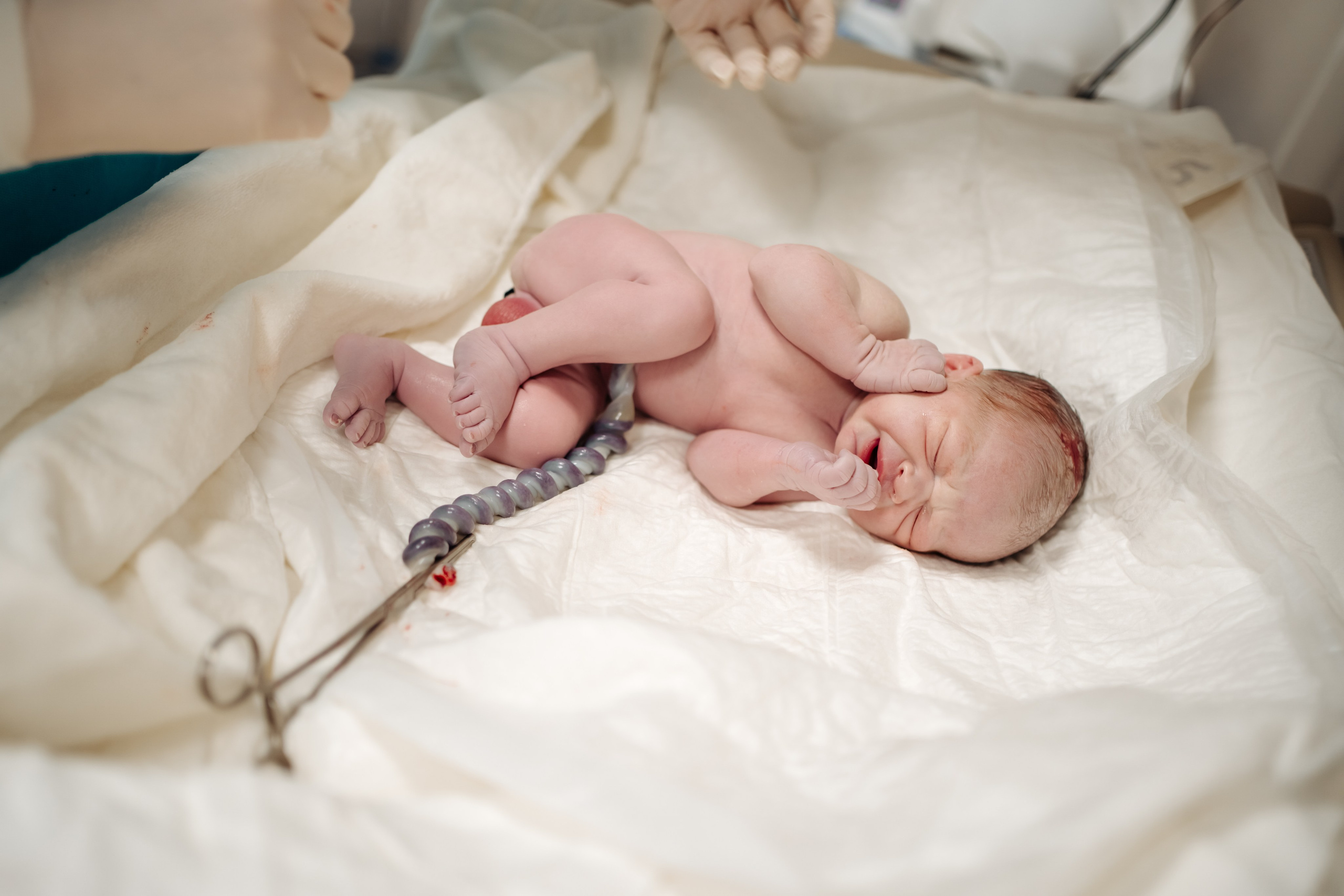 Съемка родов цвет. Фотограф и видеограф на роды в Москве Подшивалова Полина