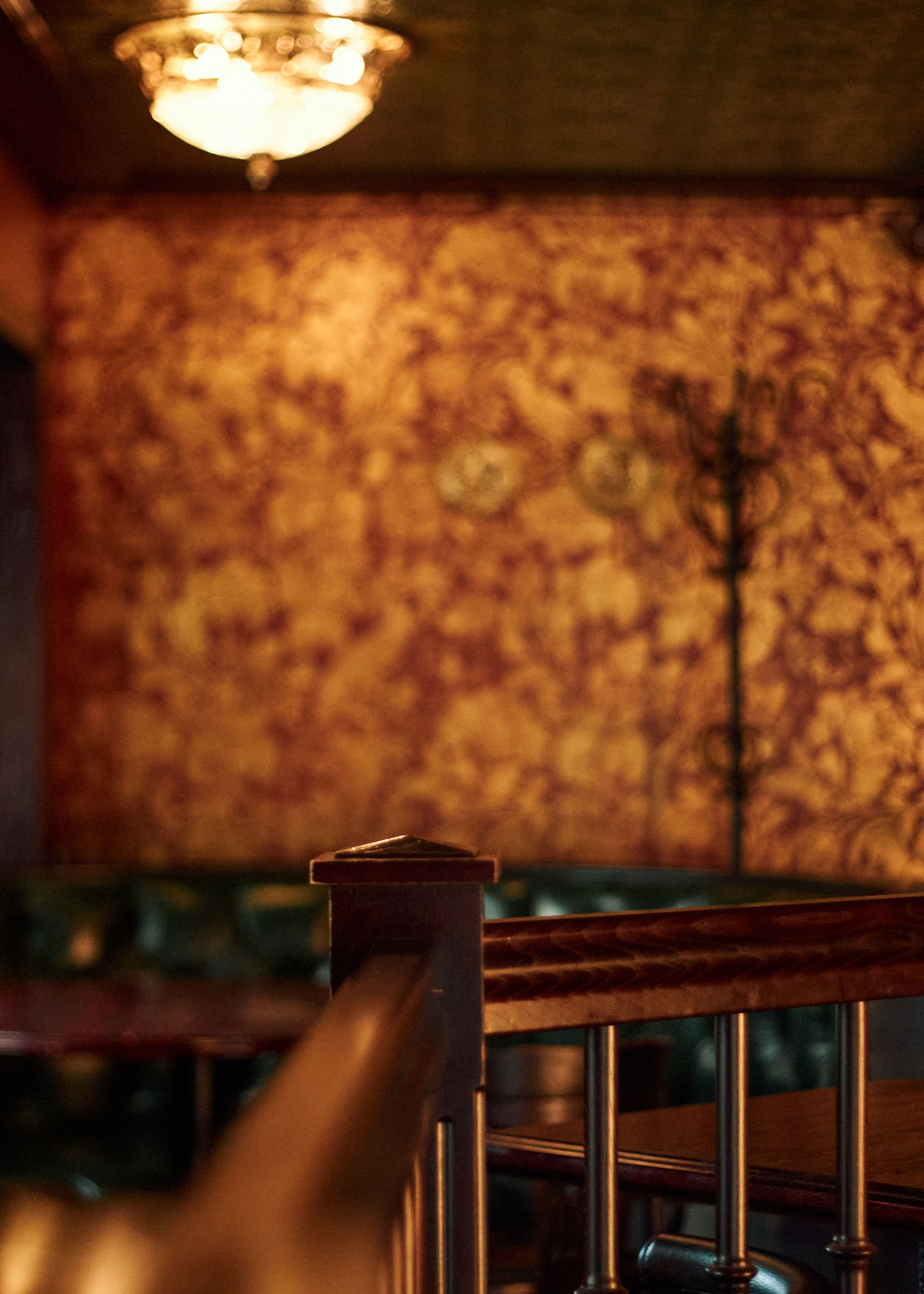 Концертная съемка. Портретный и свадебный фотограф в Москве Александра