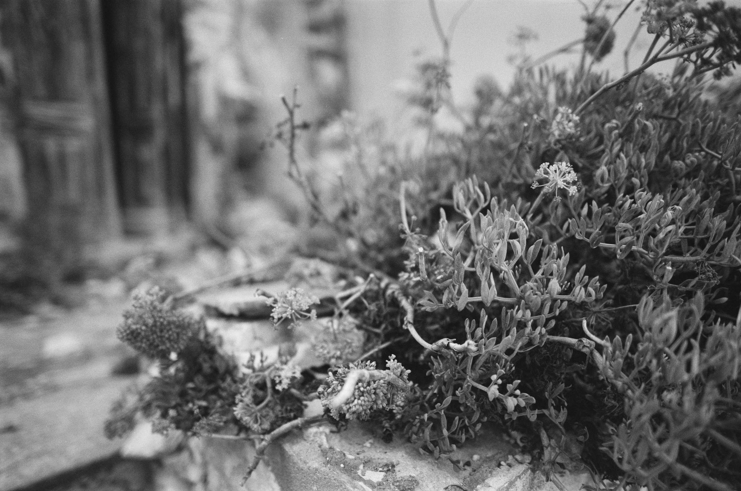 The world is flat // corsica, bonifacio. EVER EXPOSED