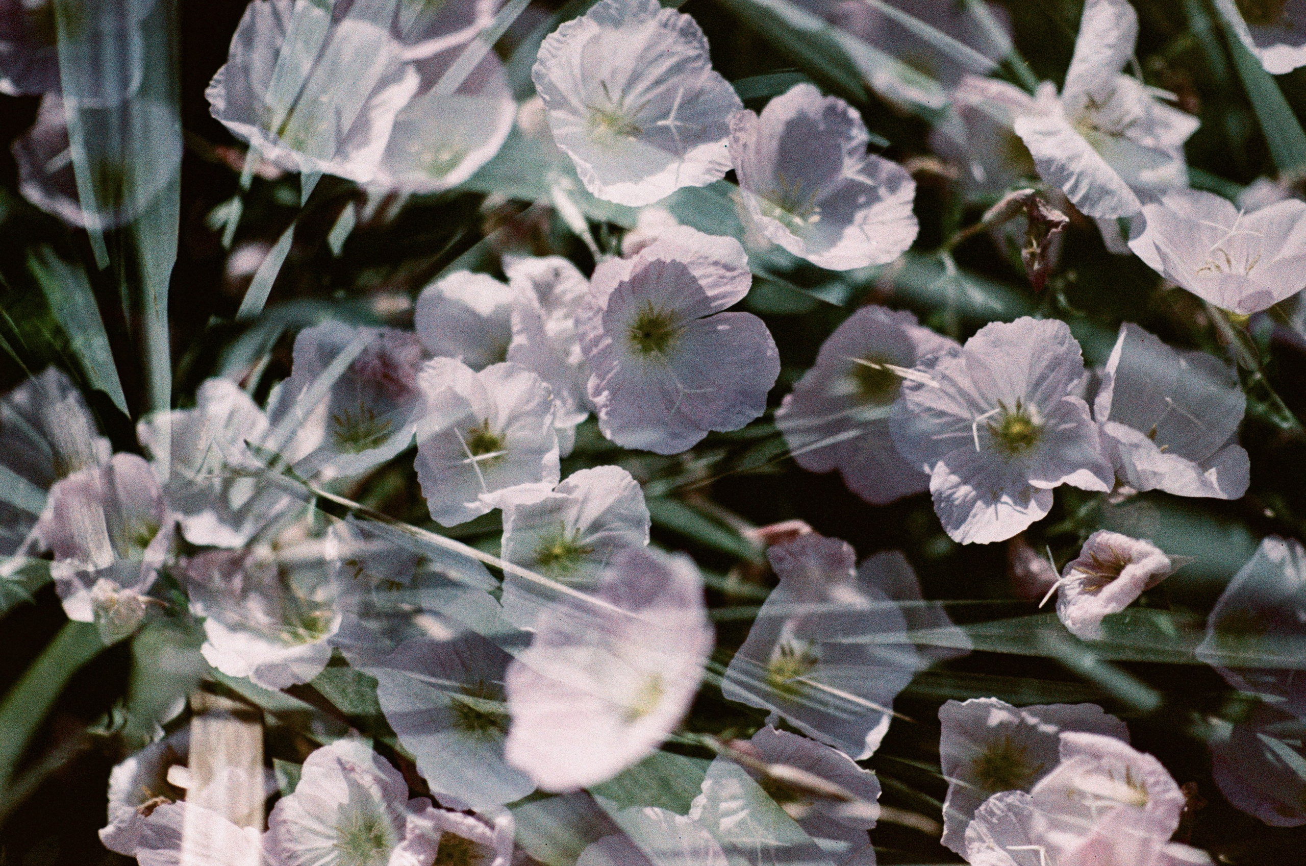 Pain shopping // ukraine, crimea. EVER EXPOSED