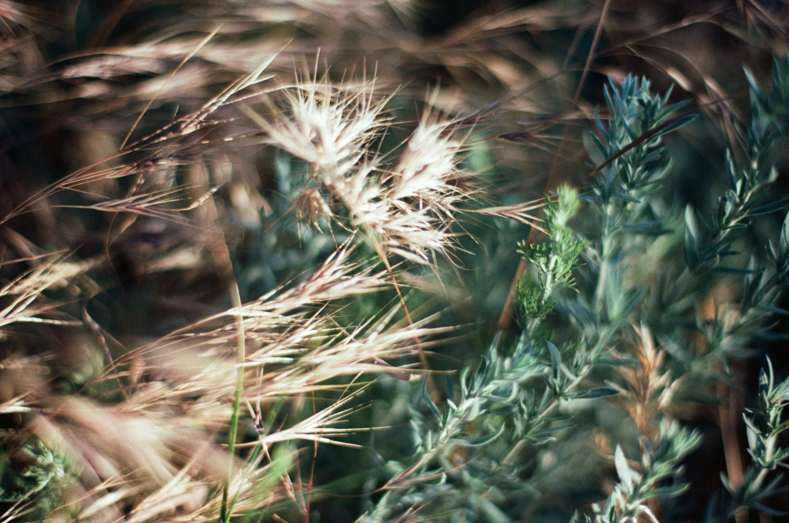 Kool-aid // ukraine, crimea V. EVER EXPOSED