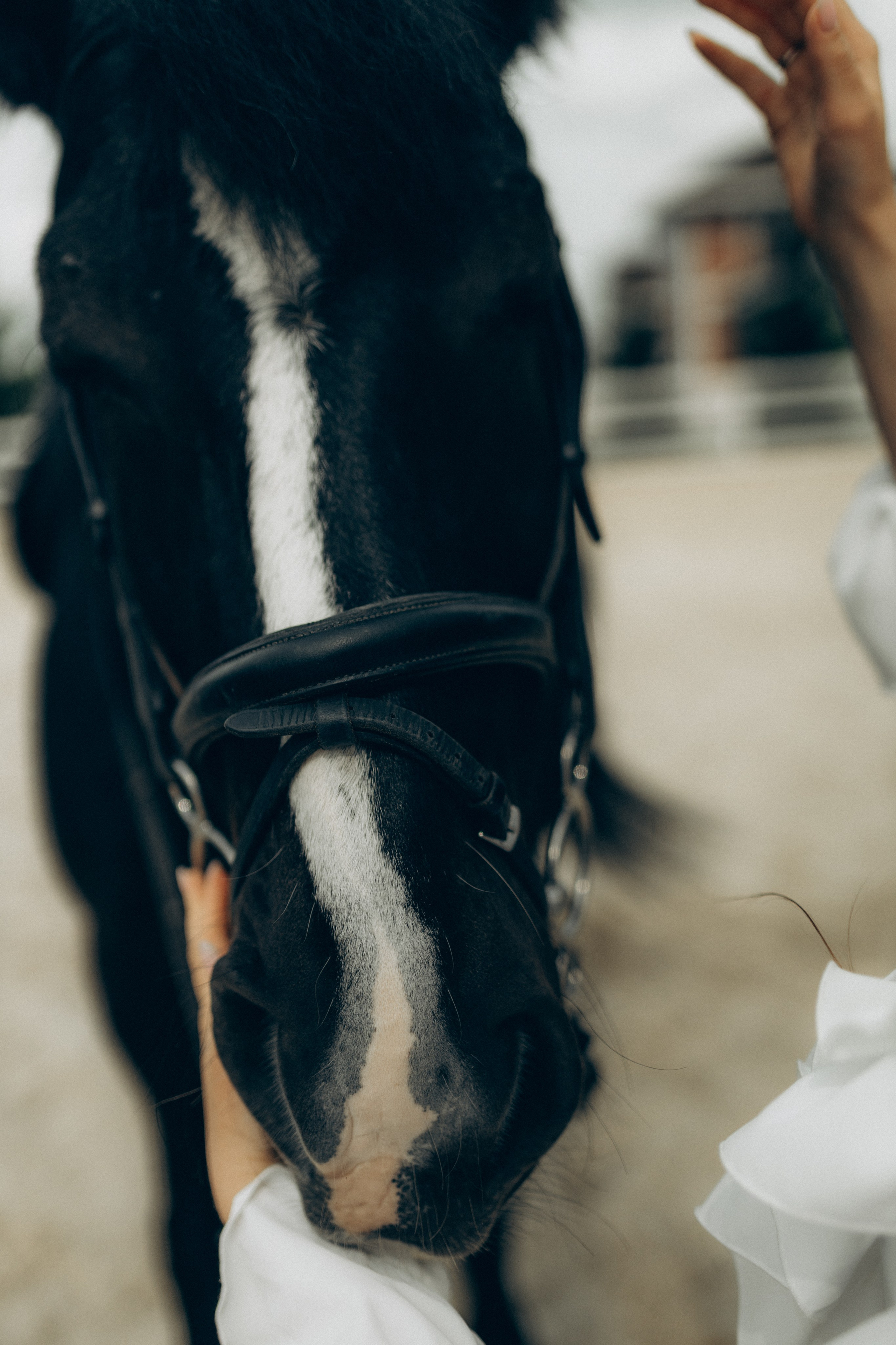 Аня. Фотограф НОГИНСК, Москва, Анастасия Белая