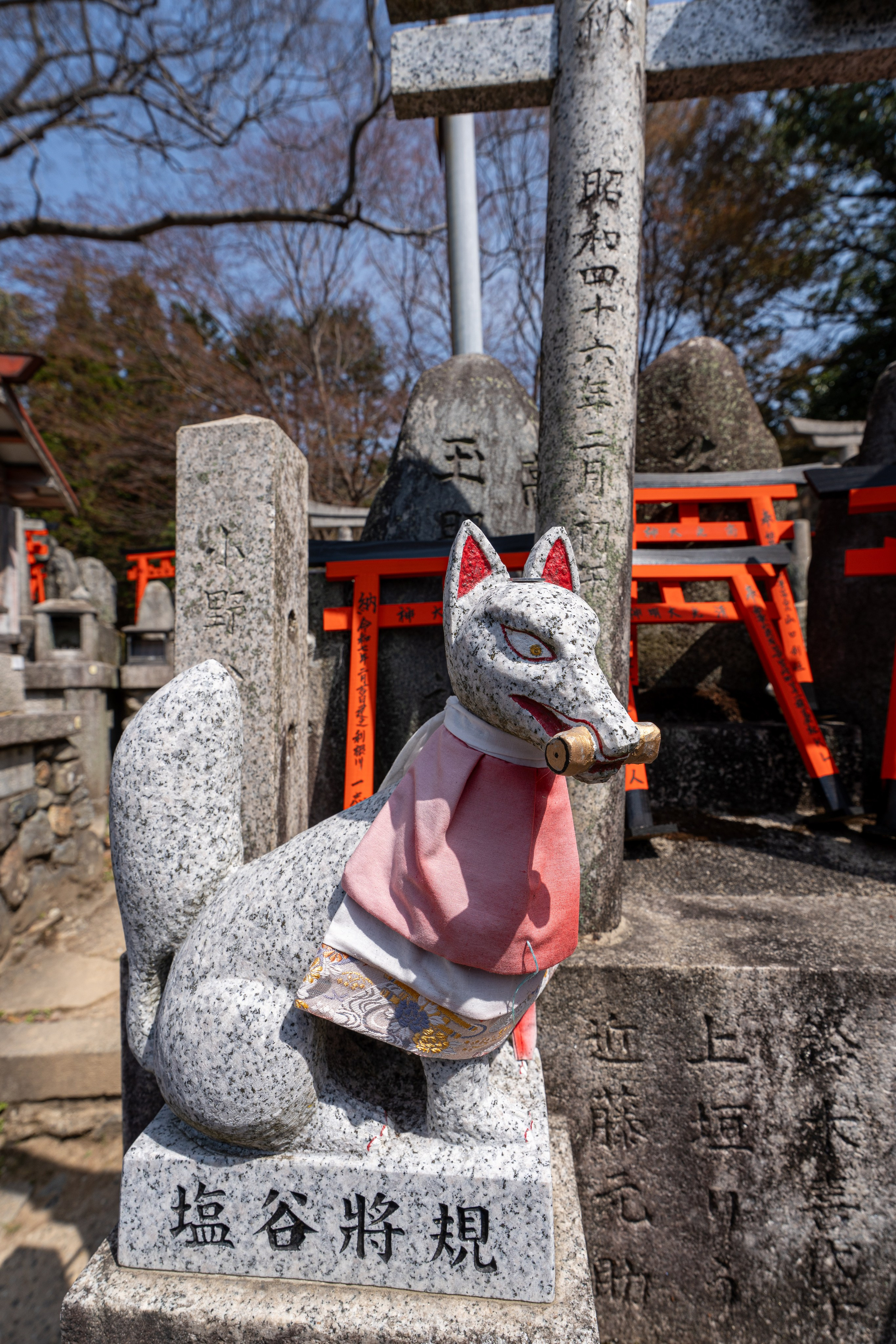 Япония, сакура. Творческие сьемки