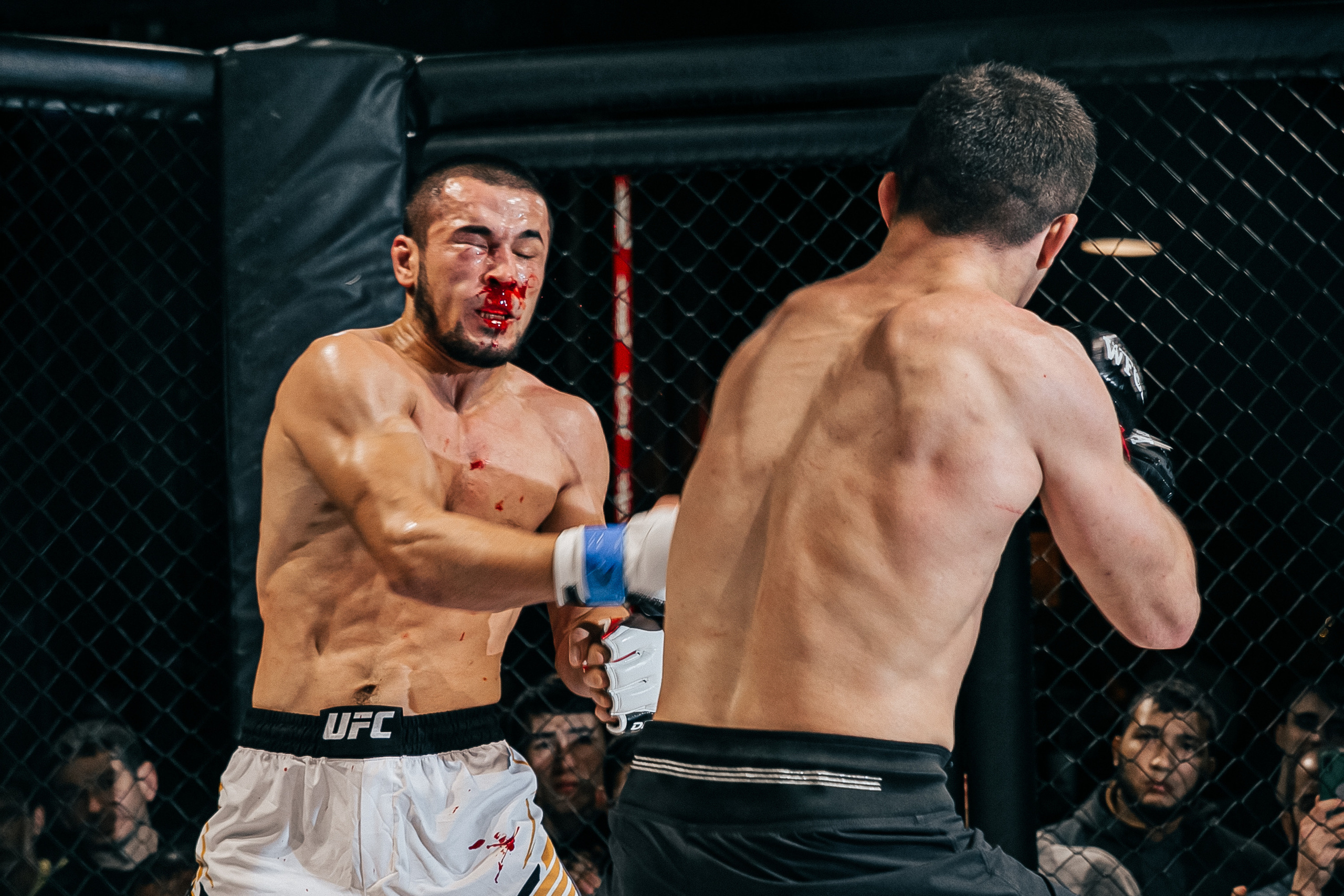 MMA. Фотограф Андрей Слынченко