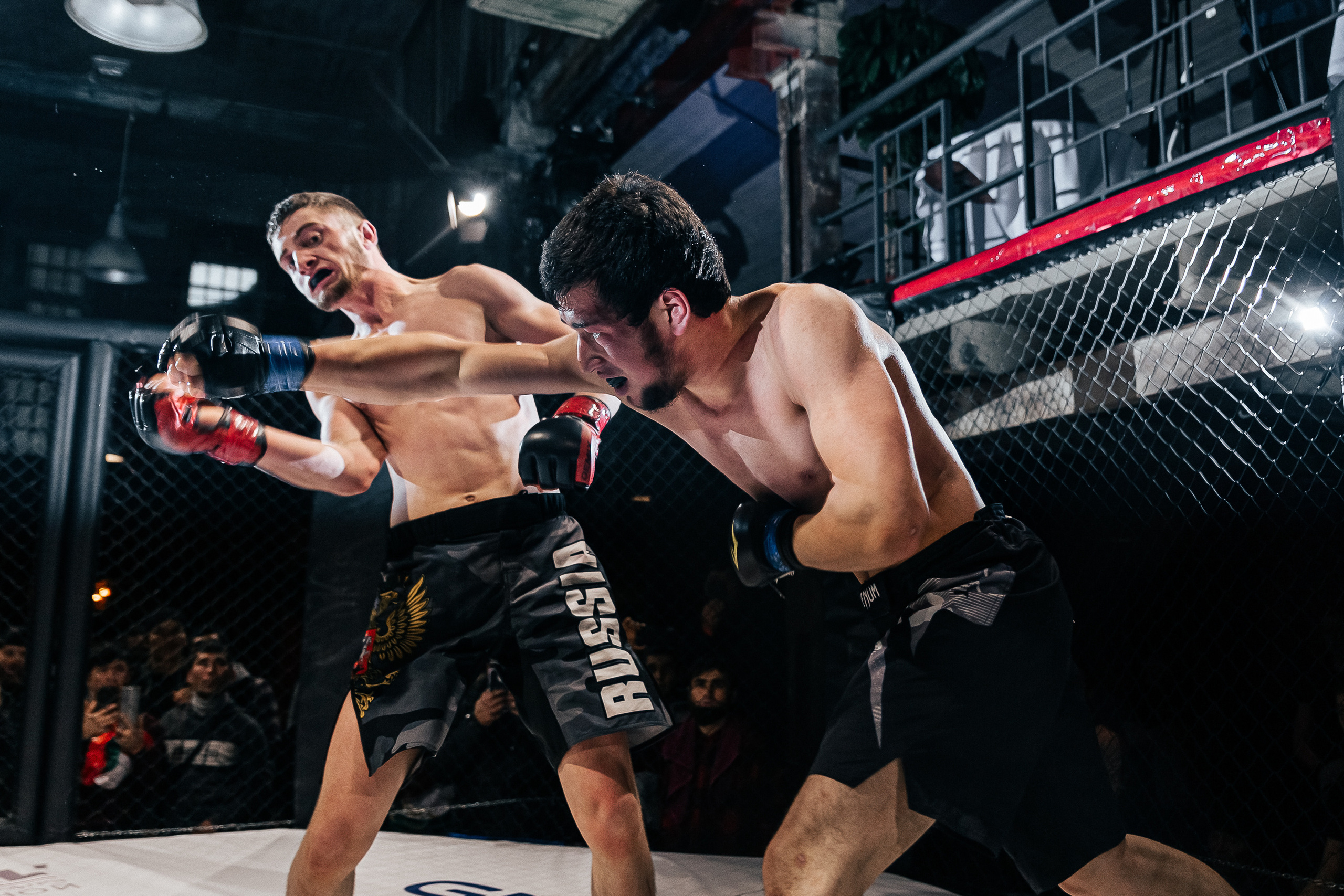 MMA. Фотограф Андрей Слынченко