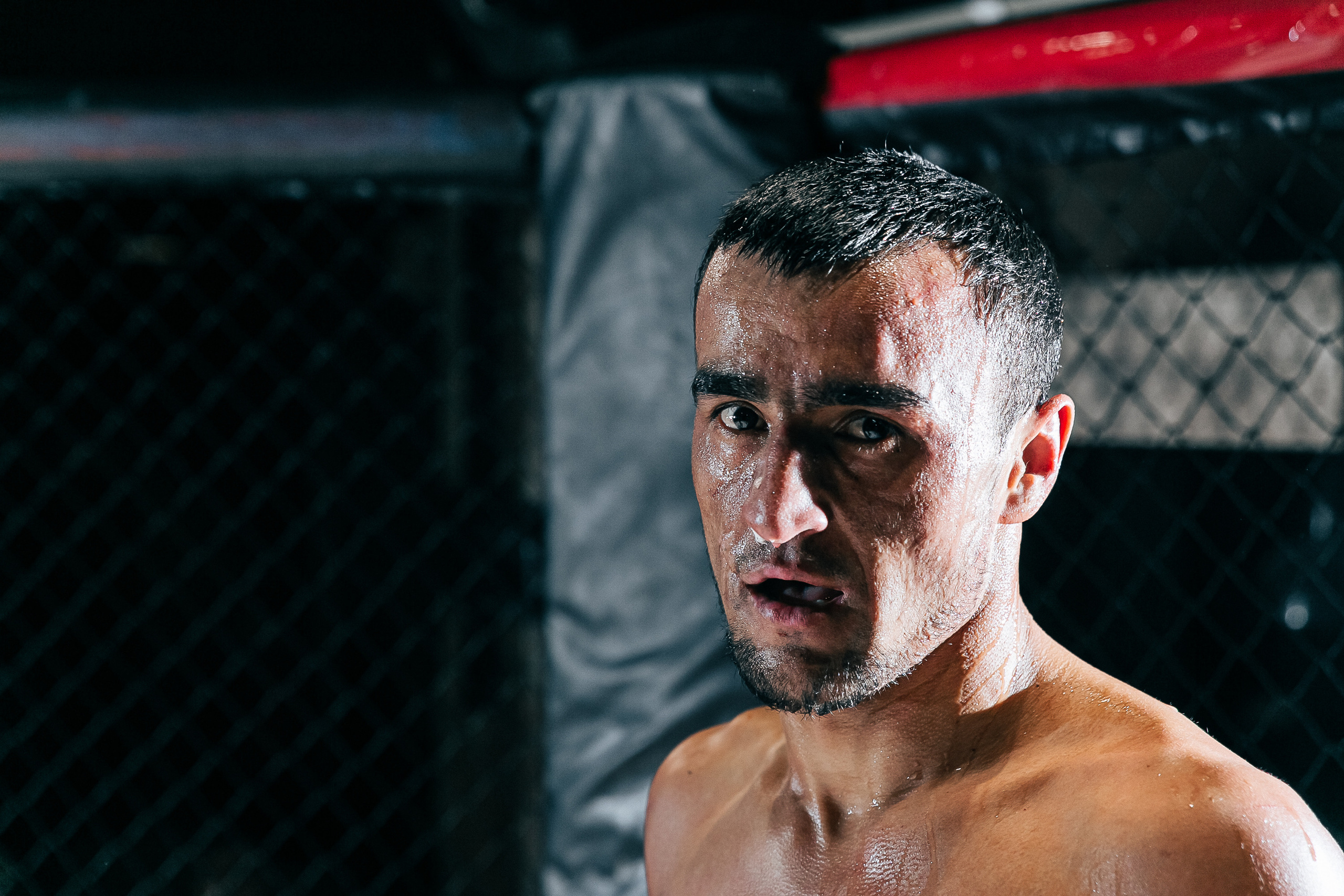 MMA. Фотограф Андрей Слынченко