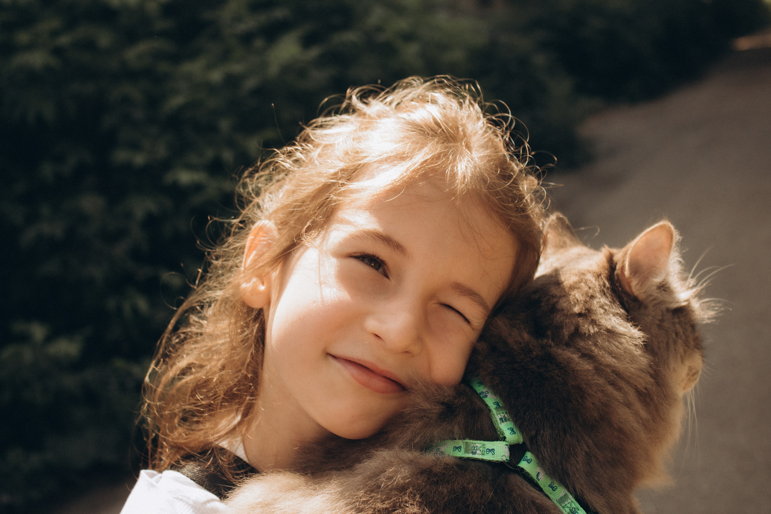 Утренняя прогулка. Главная