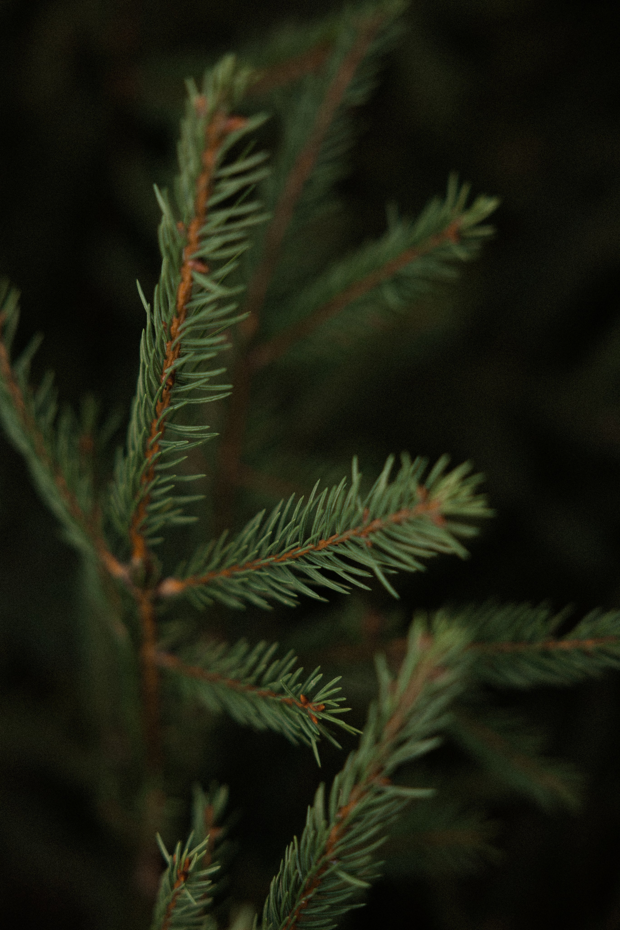 Я ВИЖУ ОКЕАН — ОН ЕСТЬ В ТВОИХ ГЛАЗАХ. Фотограф Наталия Бирюкова