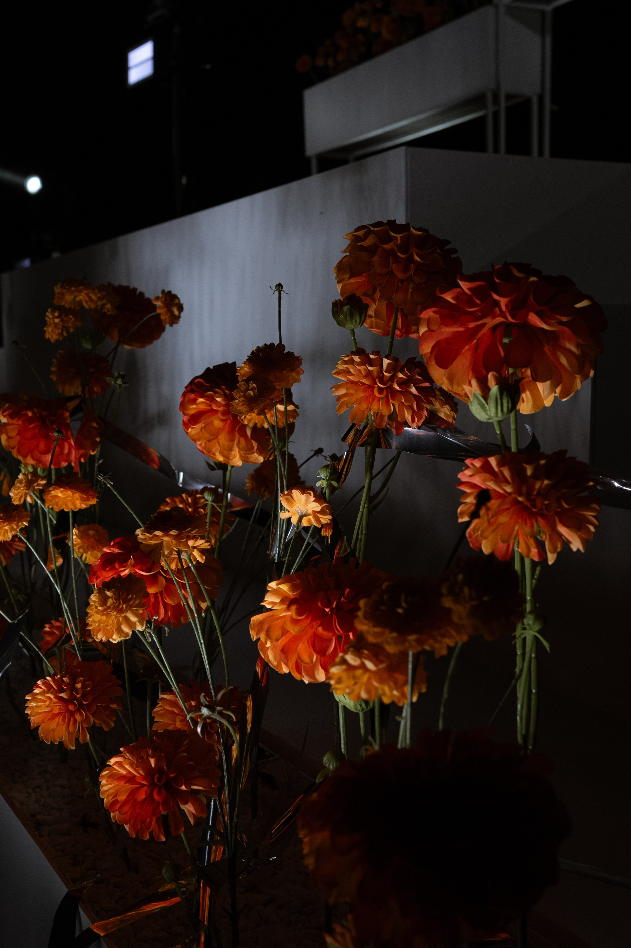 Гермес. Orange. Семейный и портретный фотограф в Саратове Сахарова Маша