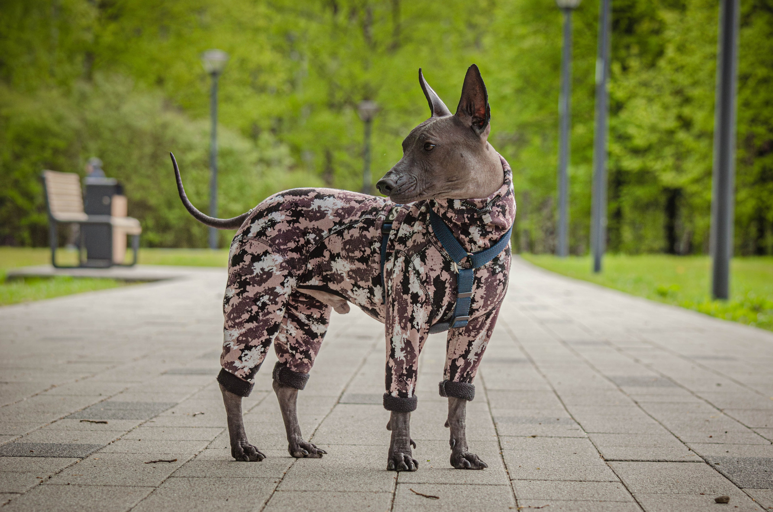 Сёма. Фотограф Светлана Блинова, Москва и Московская область