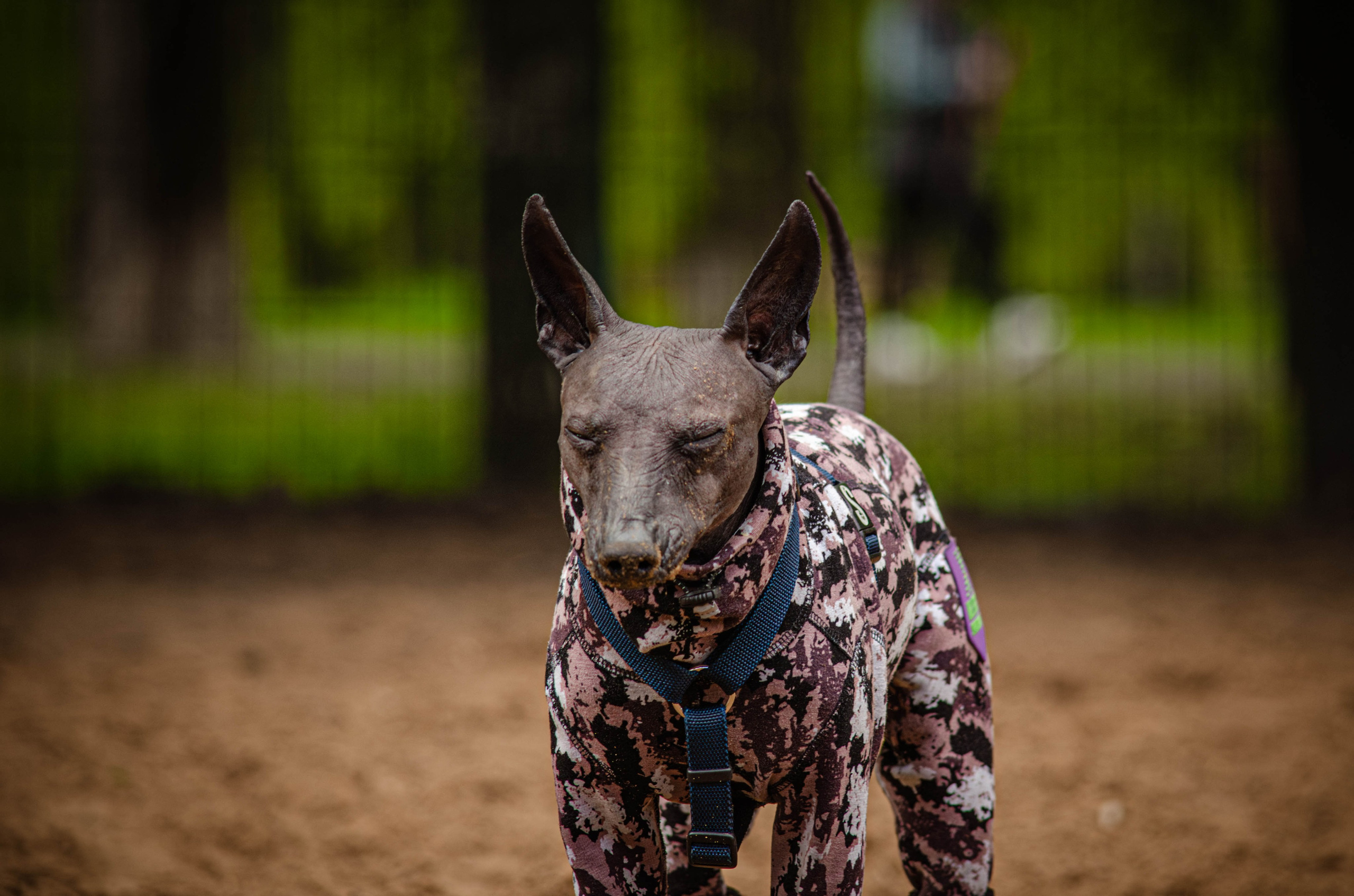 Сёма. Фотограф Светлана Блинова, Москва и Московская область