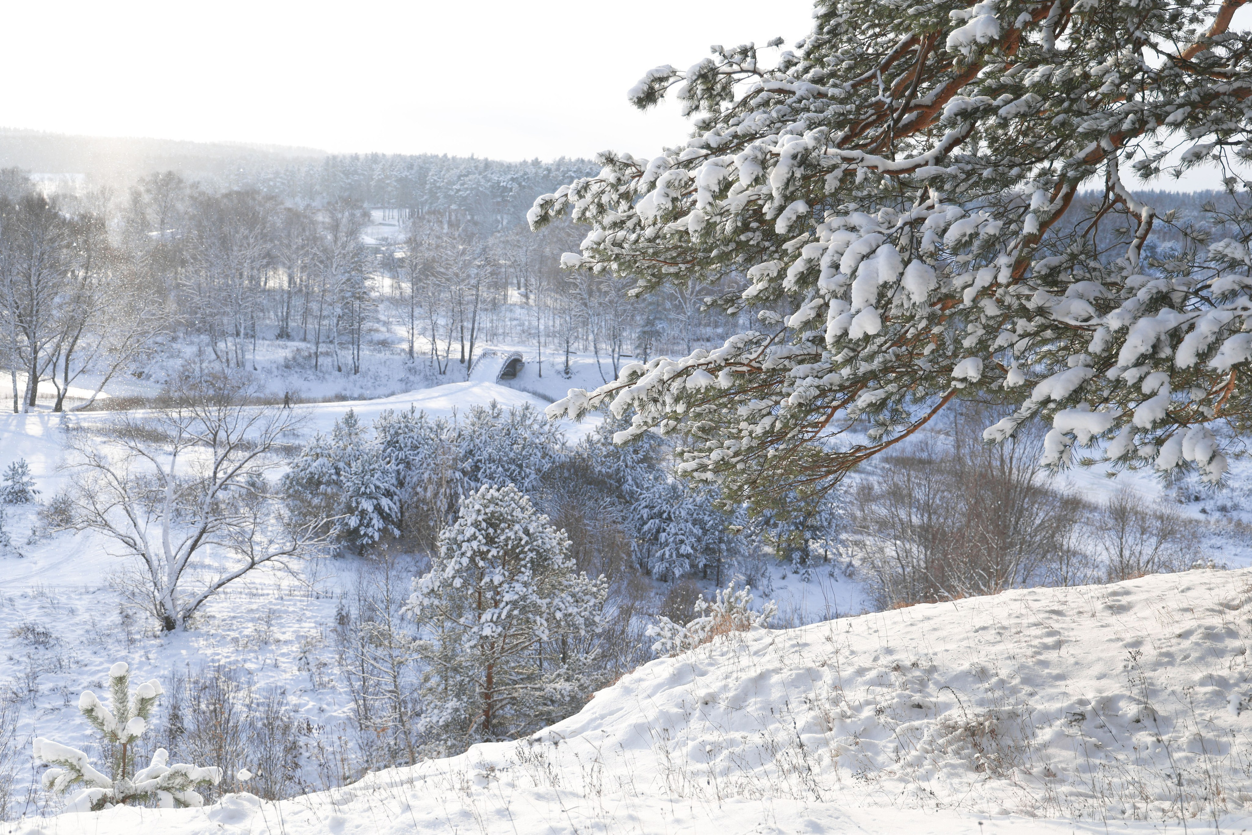 Рождествено Зима 2026. Фотограф Максим Татаринов