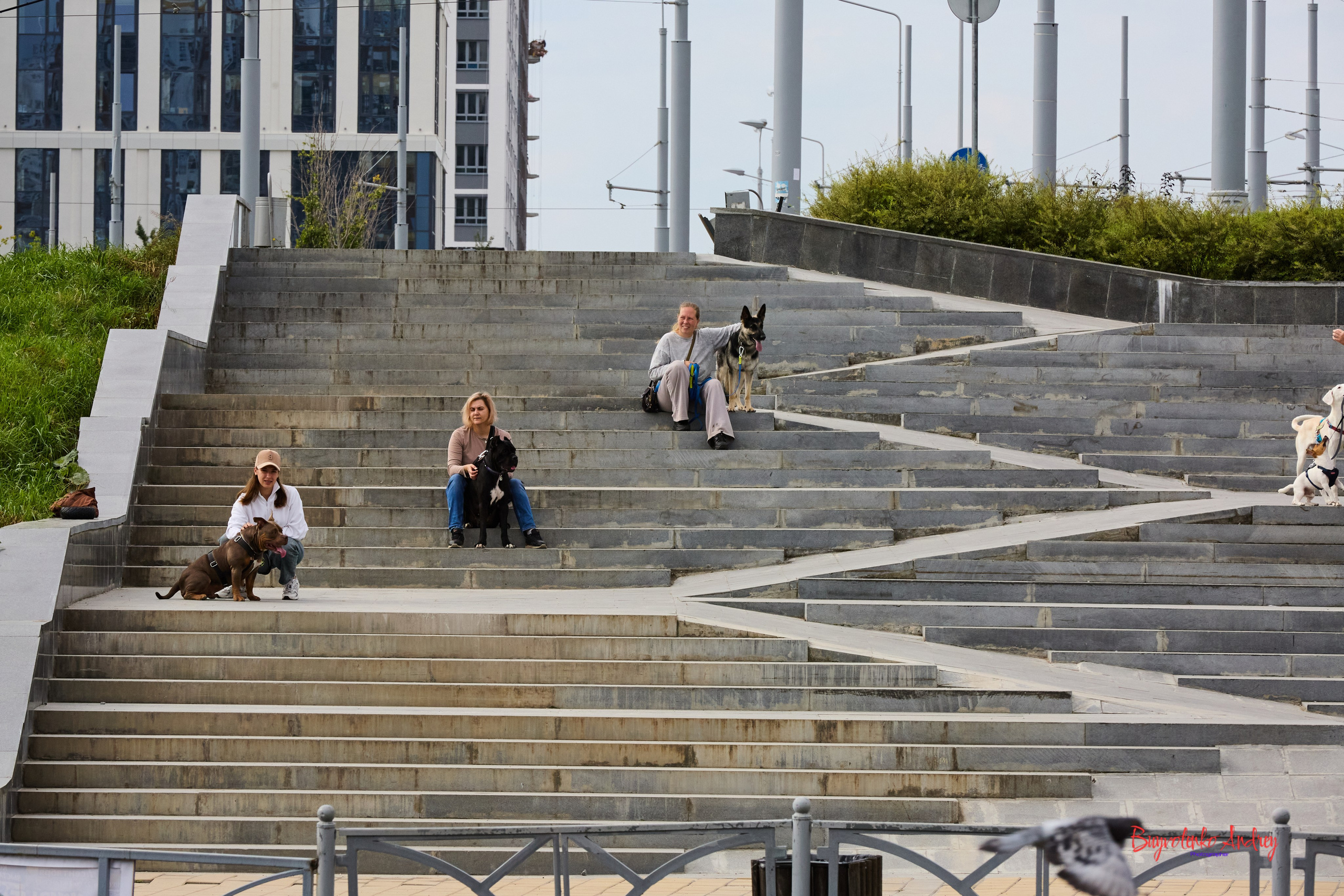 Проект фотопрогулка с хвостиком. Buyvolenko Andrey