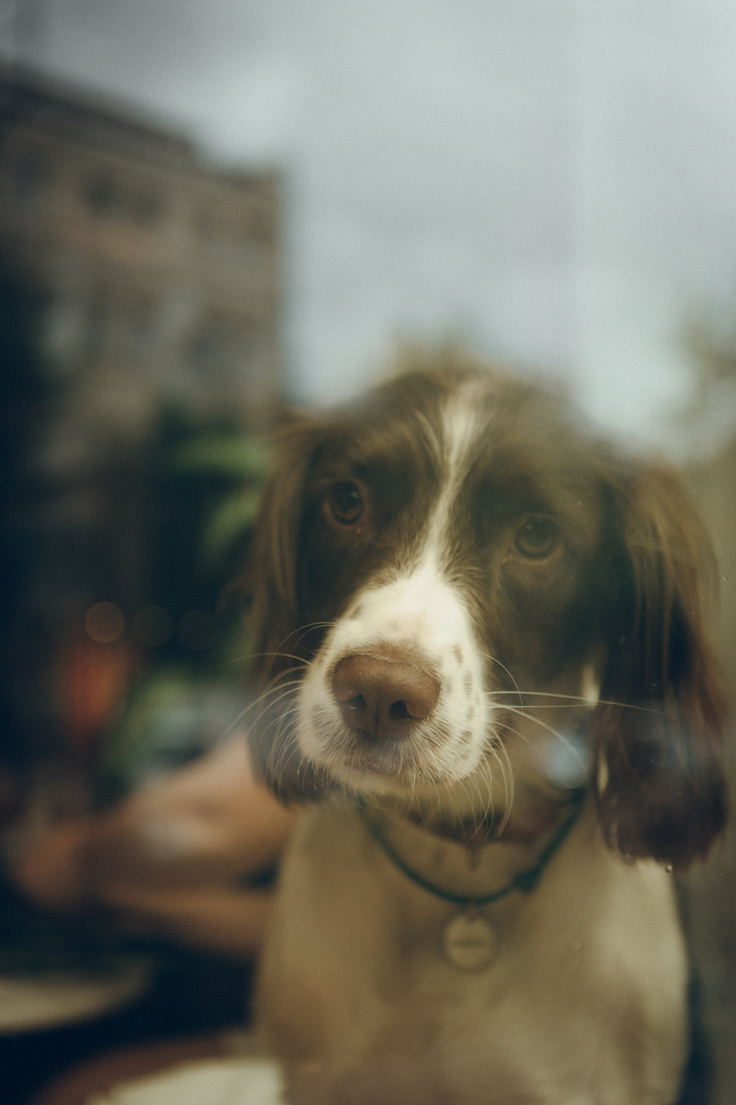 Family moment. Семейный фотограф и фотограф на роды в Ростове-на-Дону Мухина Виктория