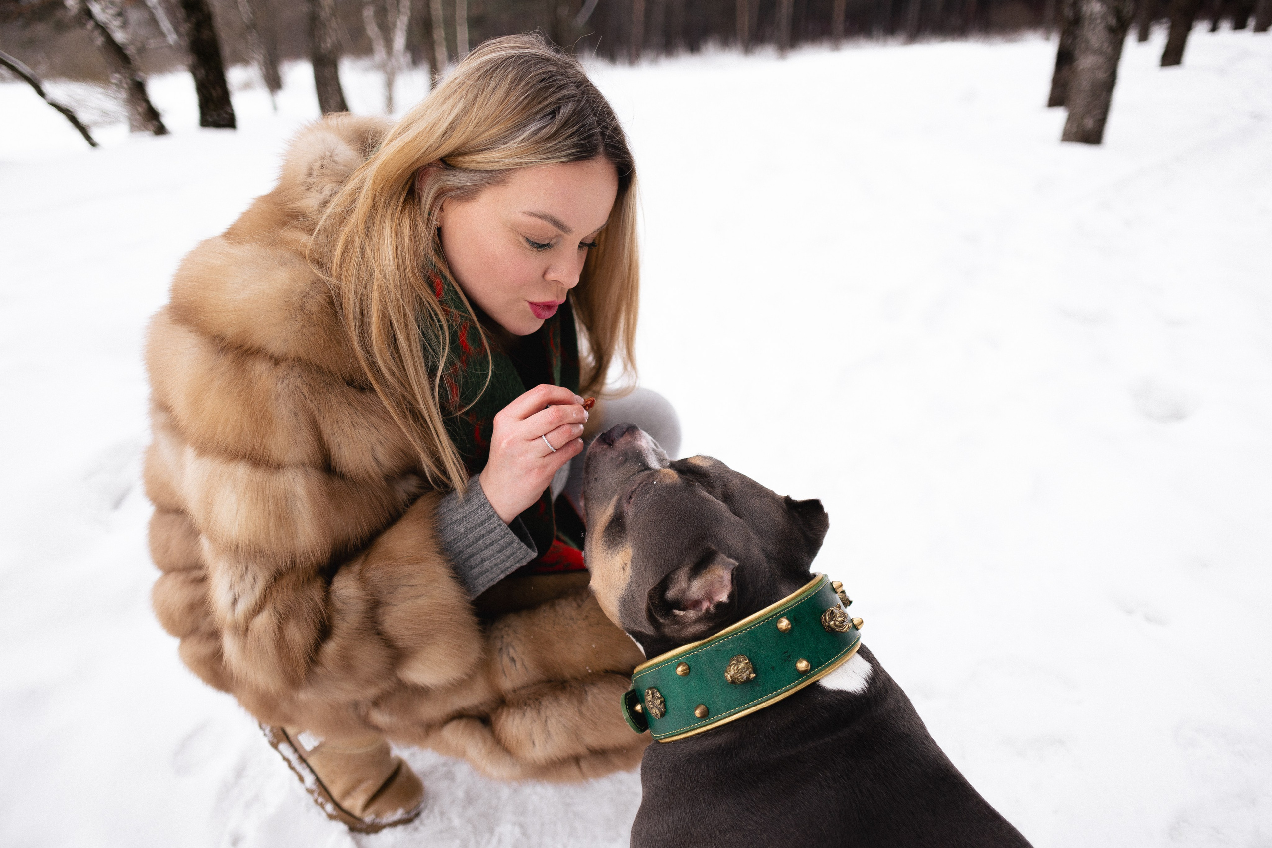 Лера и Наган. Фотограф и видеограф анималист Аганина Дарья
