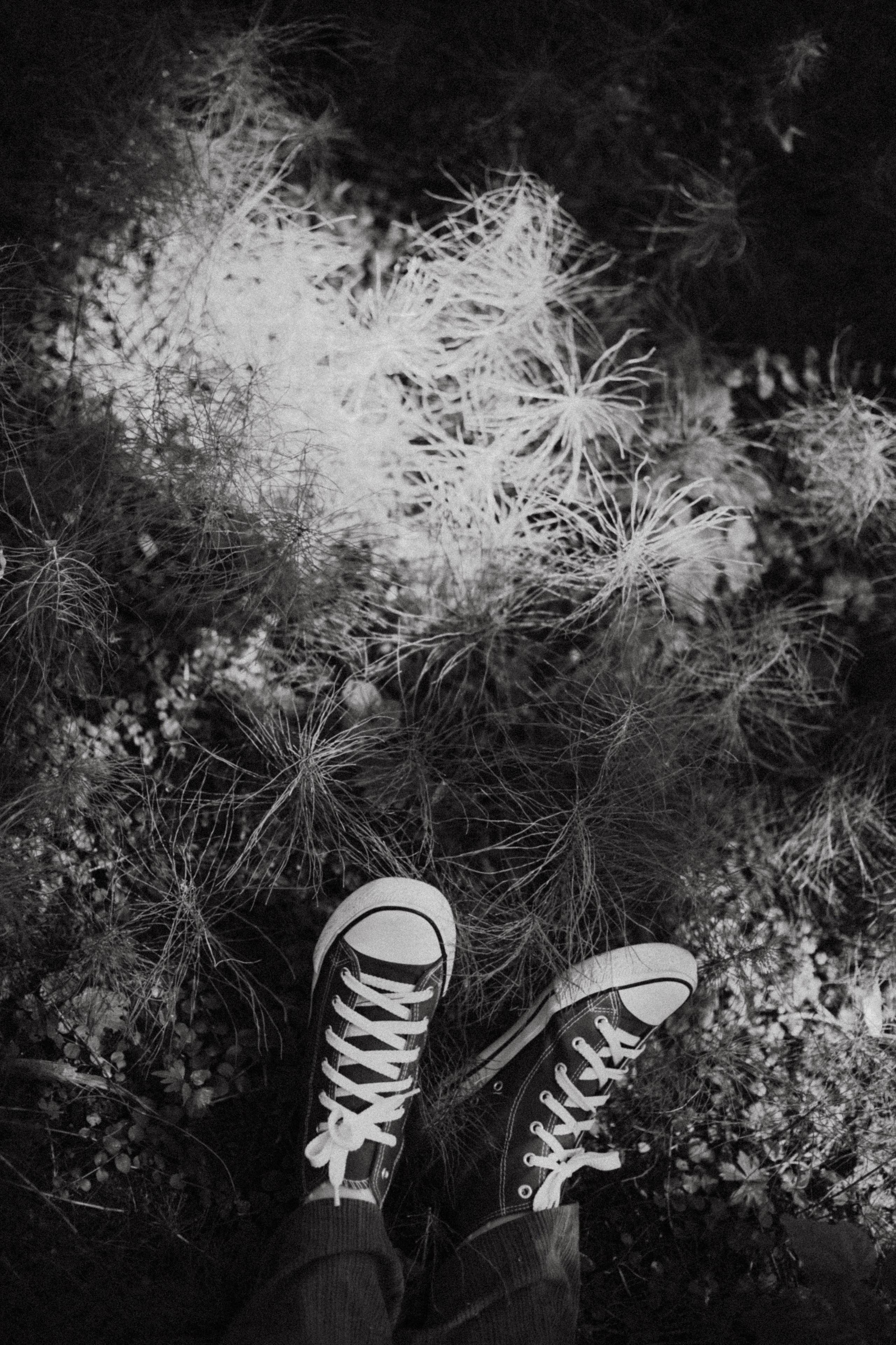 Настя Жаришка 24-го. Фотограф в Нижнем Новгороде