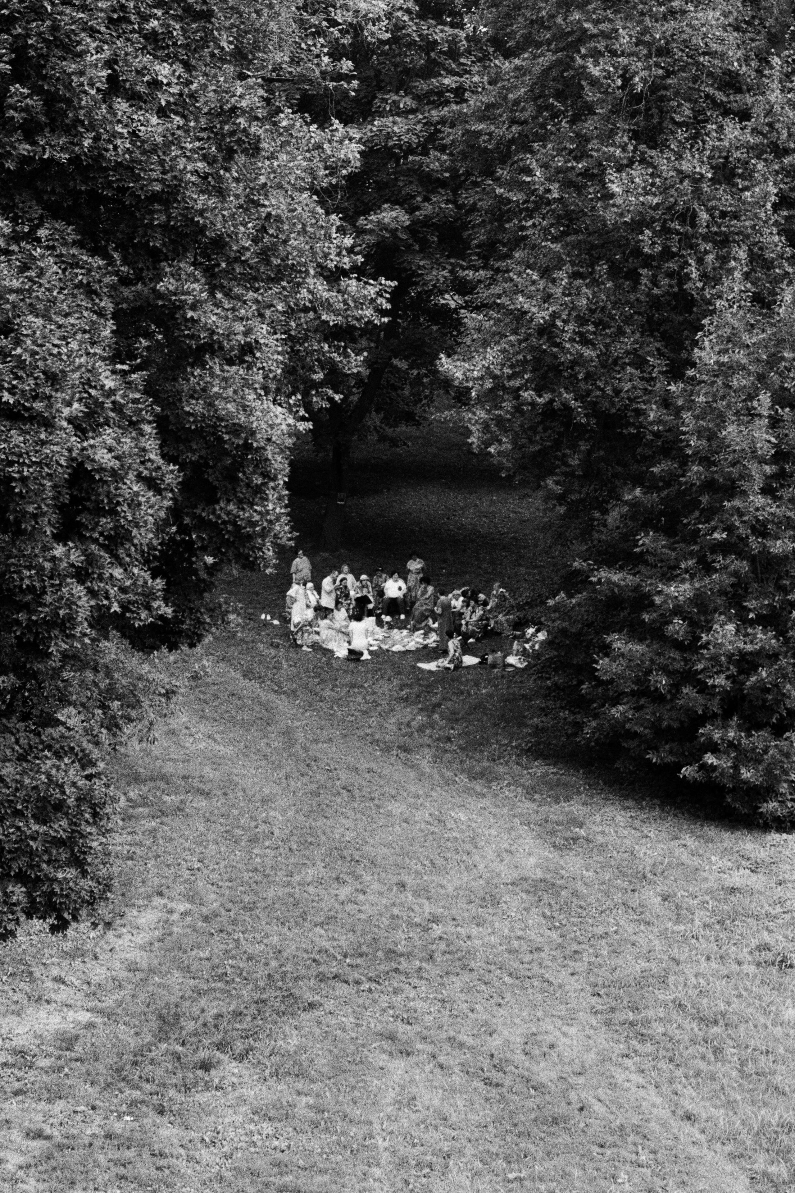 Grain. Artem Khusainov