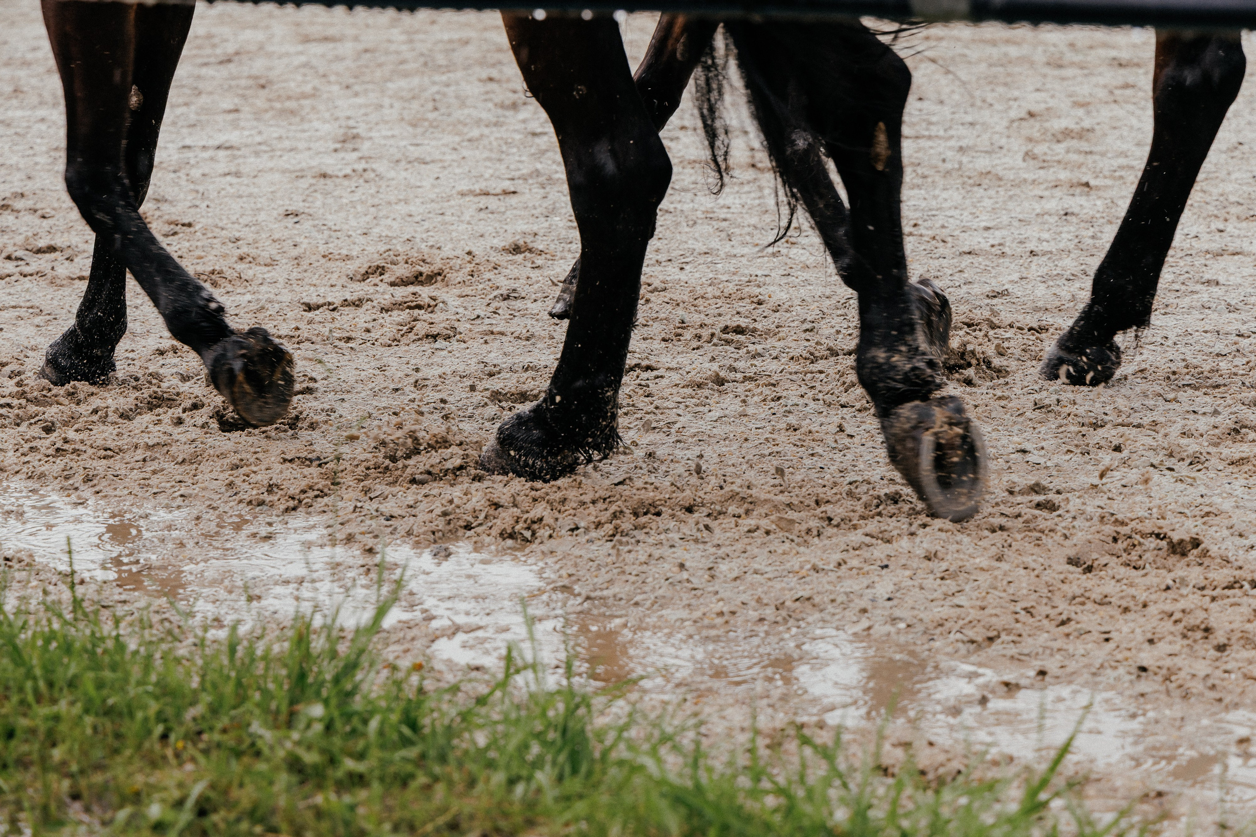 KSK Raid. Фотограф Иван Гуляев