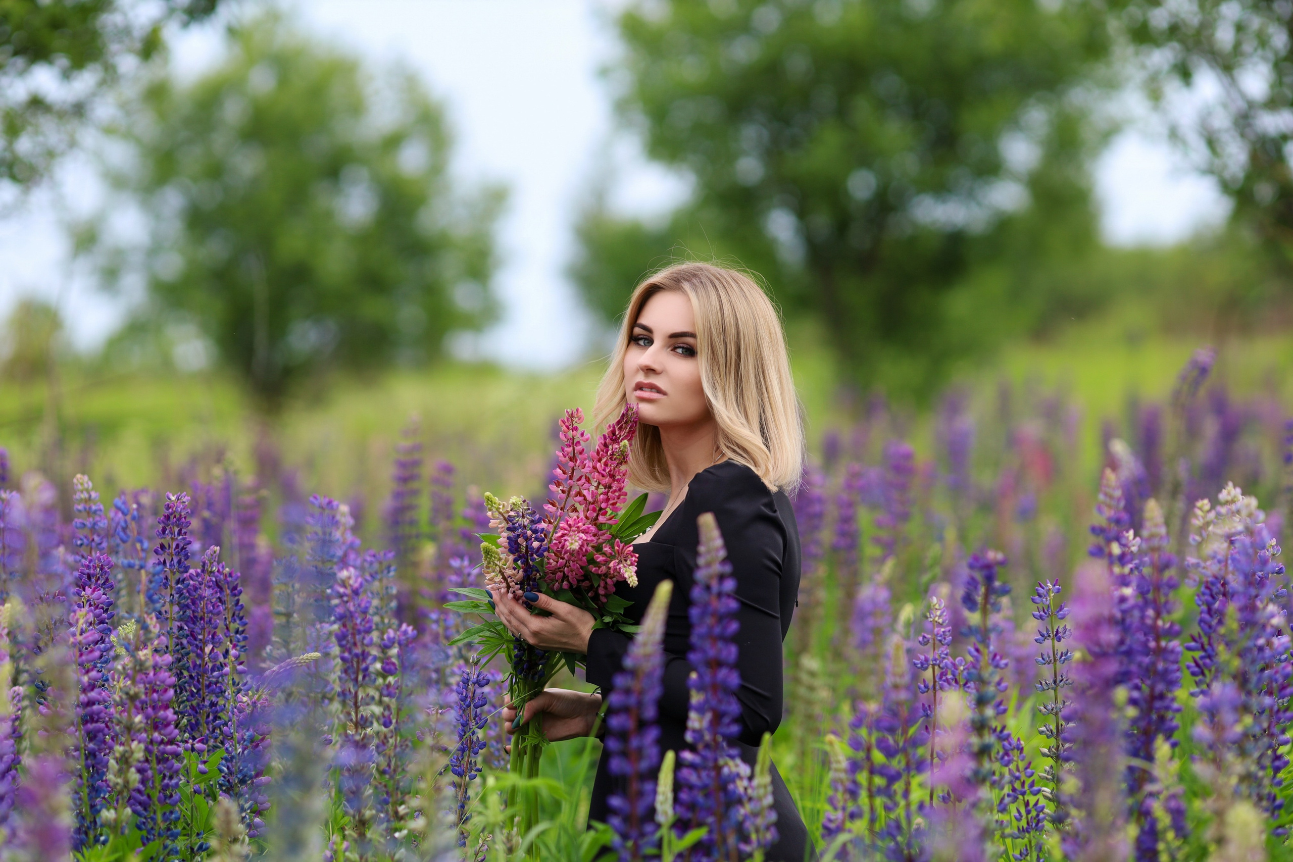 Фира. Люпины. Главная