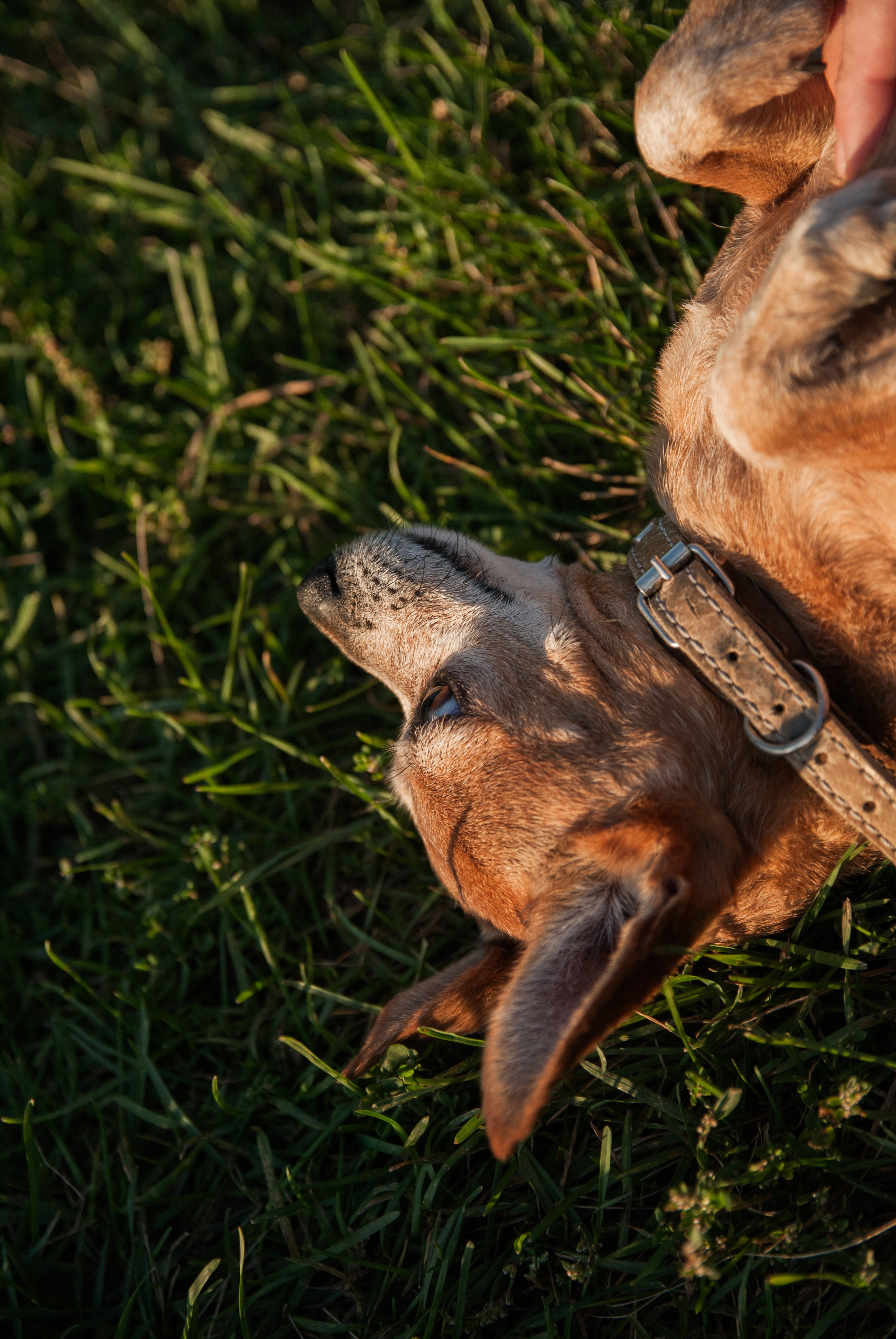 Зоопарк в моём багаже. Кошенкова Мария: портретный и репортажный фотограф. Санкт-Петербург