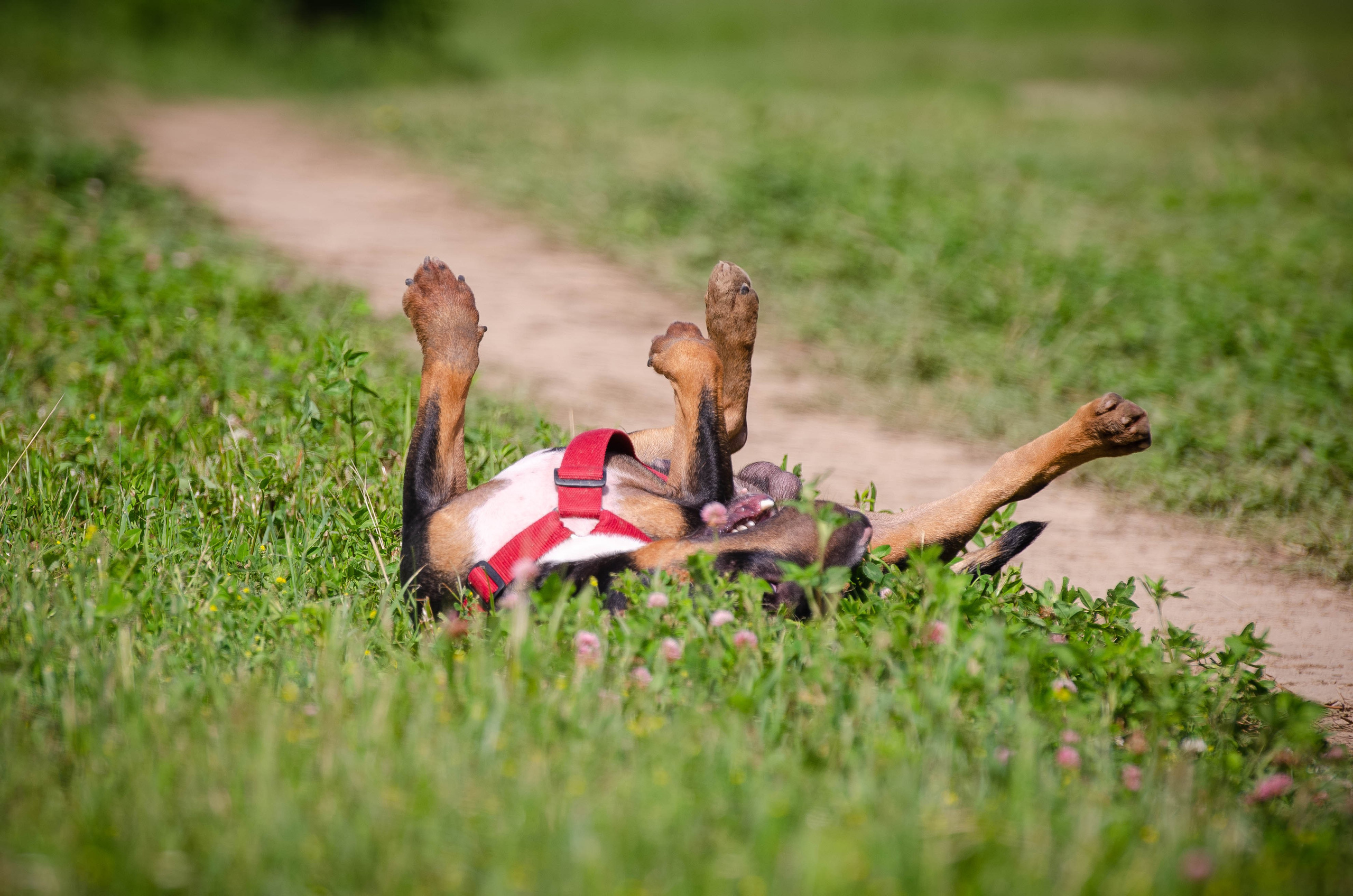 Прогулка (Лохин остров). Фотограф Светлана Блинова, Москва и Московская область