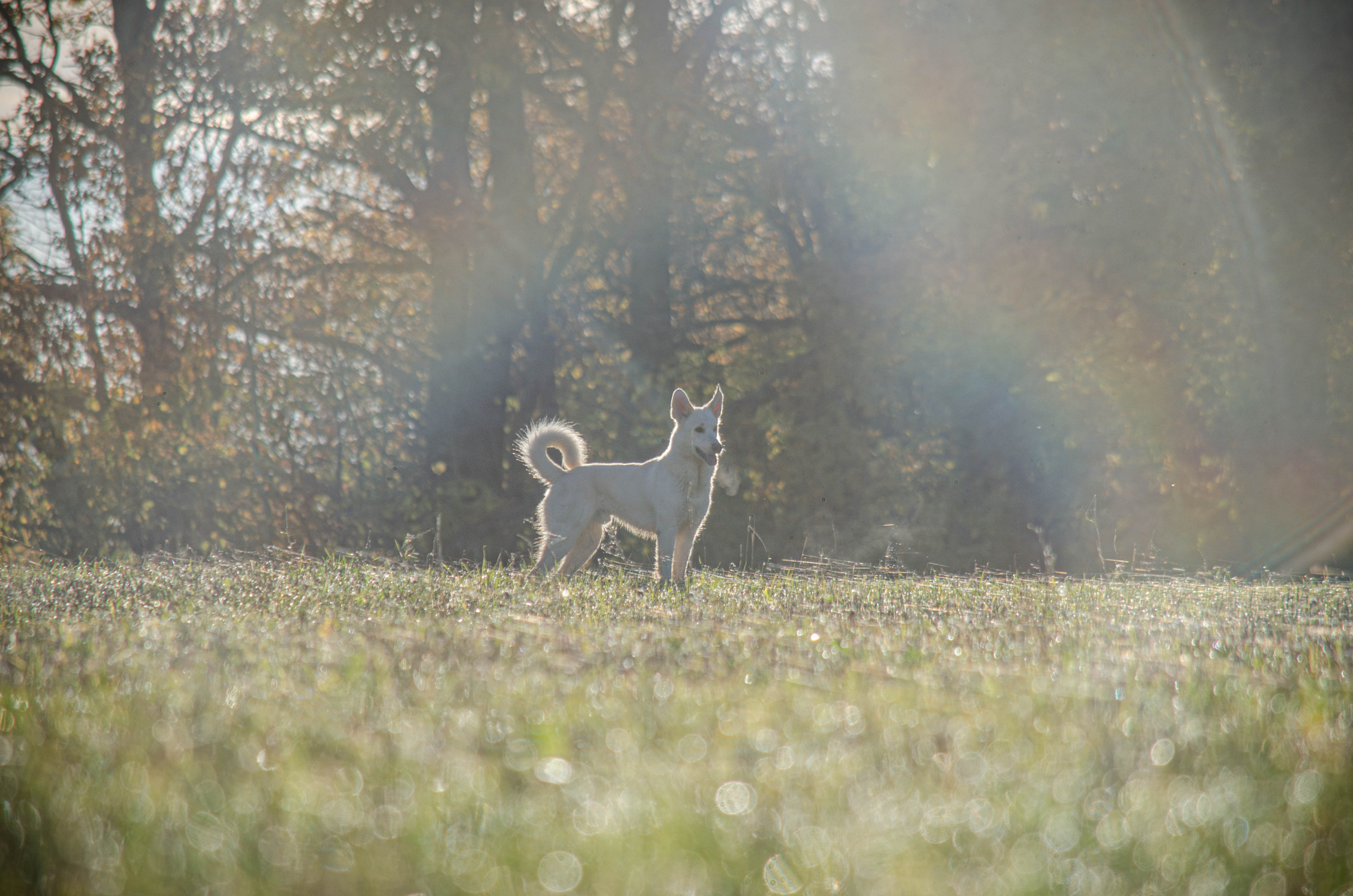 Отзывы. Фотограф Светлана Блинова, Москва и Московская область