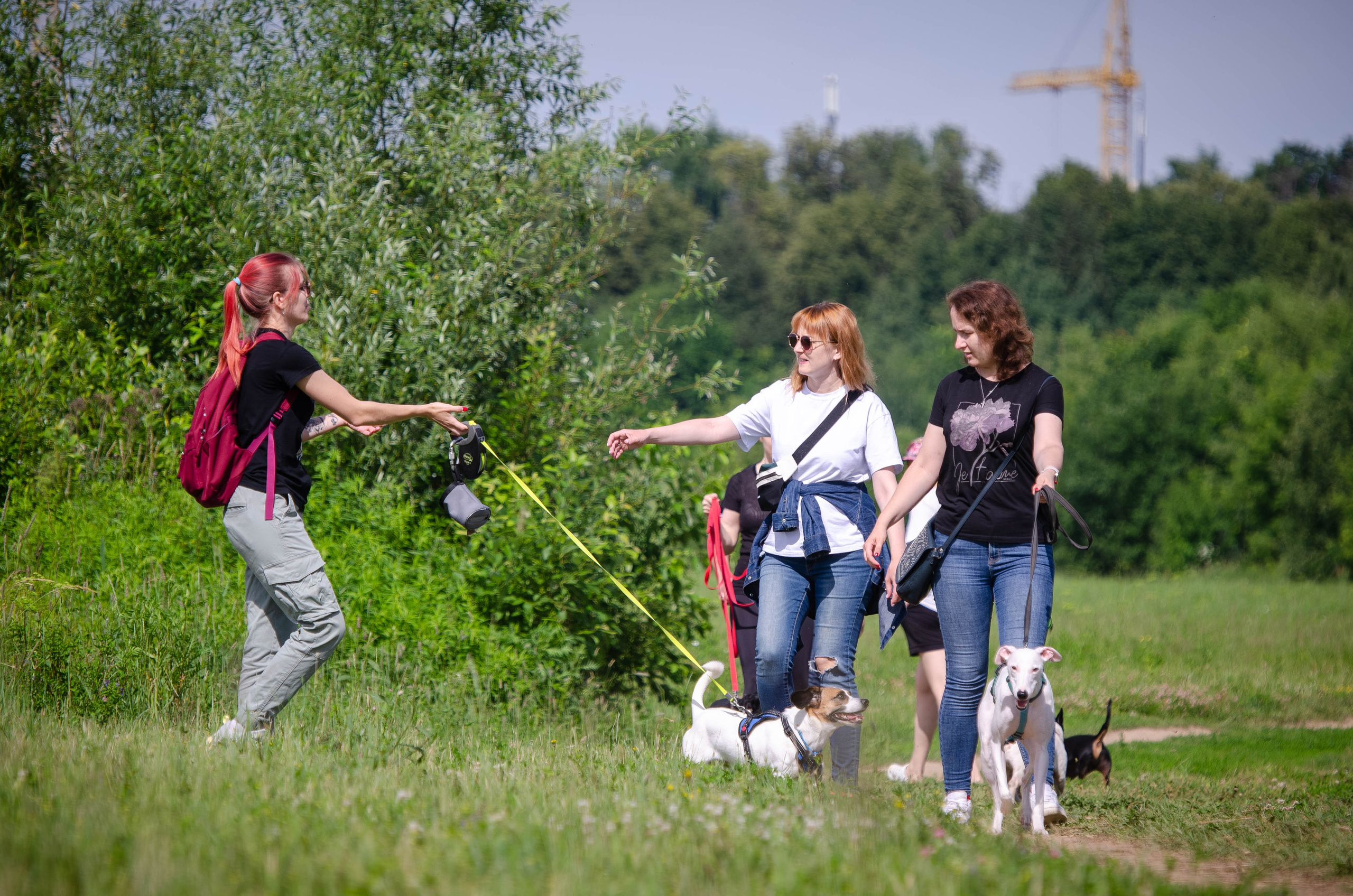 Прогулка (Лохин остров). Фотограф Светлана Блинова, Москва и Московская область