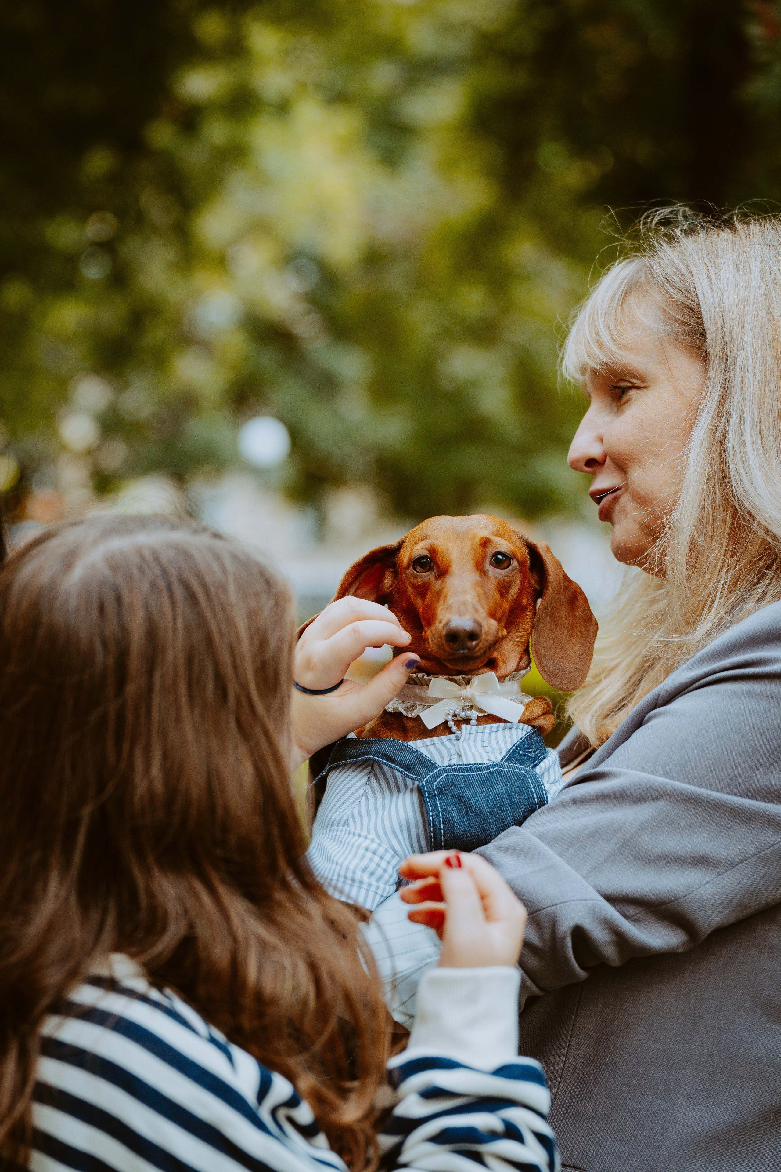 Такспарад. Фотограф анималист в Спб недорого Олеся Майорова