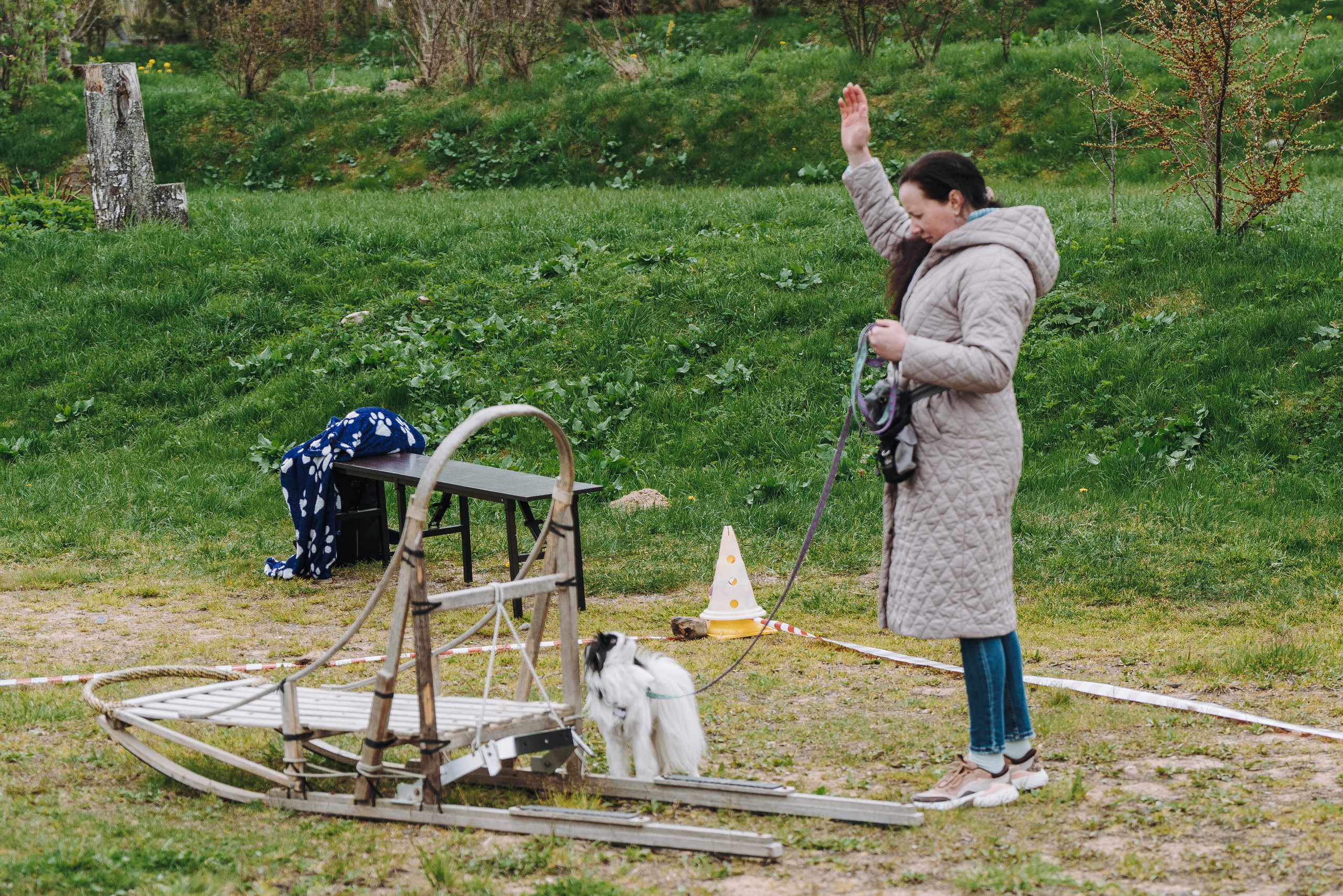 Соревнования по ноузворку в Лосево. Фотограф анималист в Спб недорого Олеся Майорова
