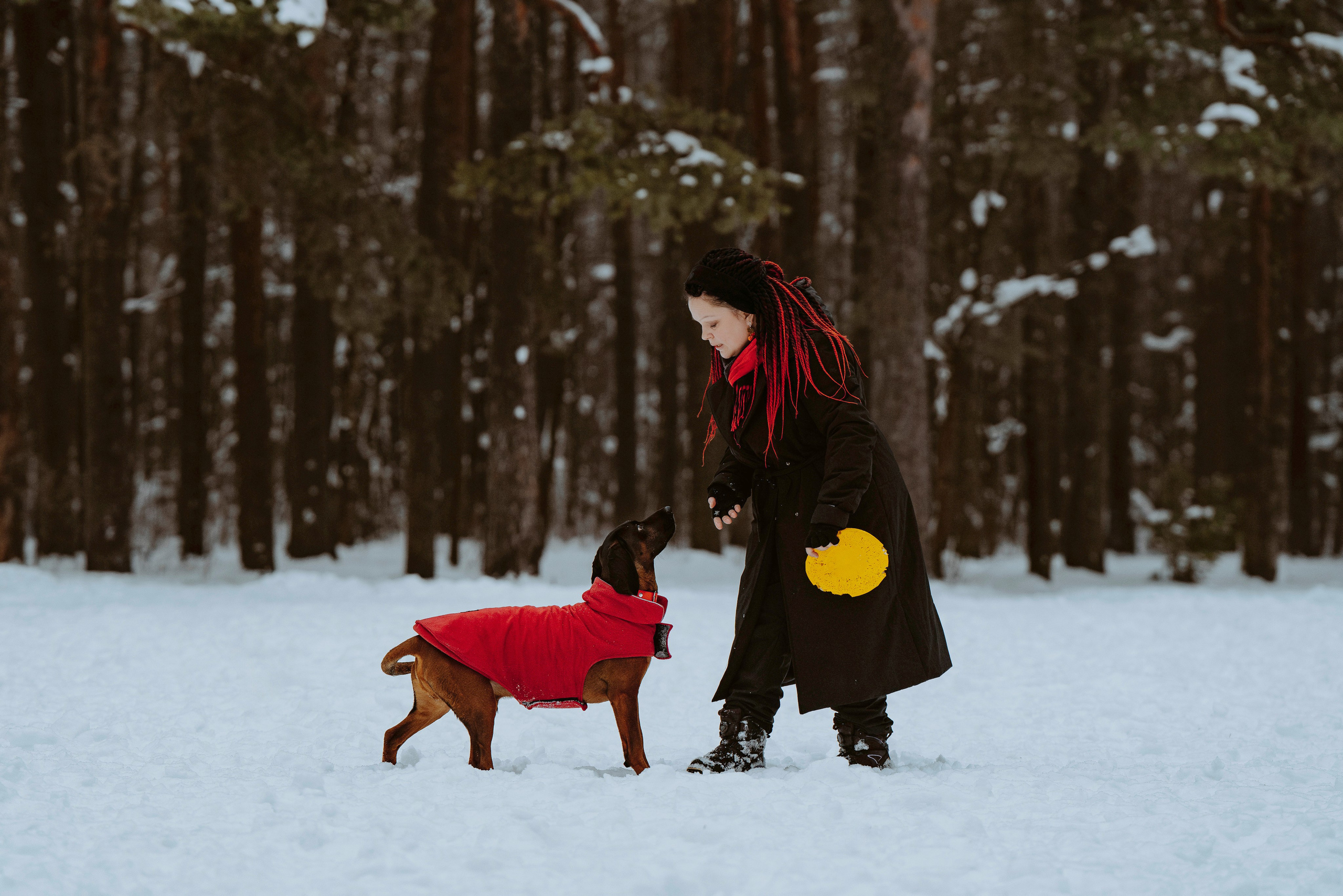 Ольга, Рора и Румпель. Фотограф анималист в Спб недорого Олеся Майорова