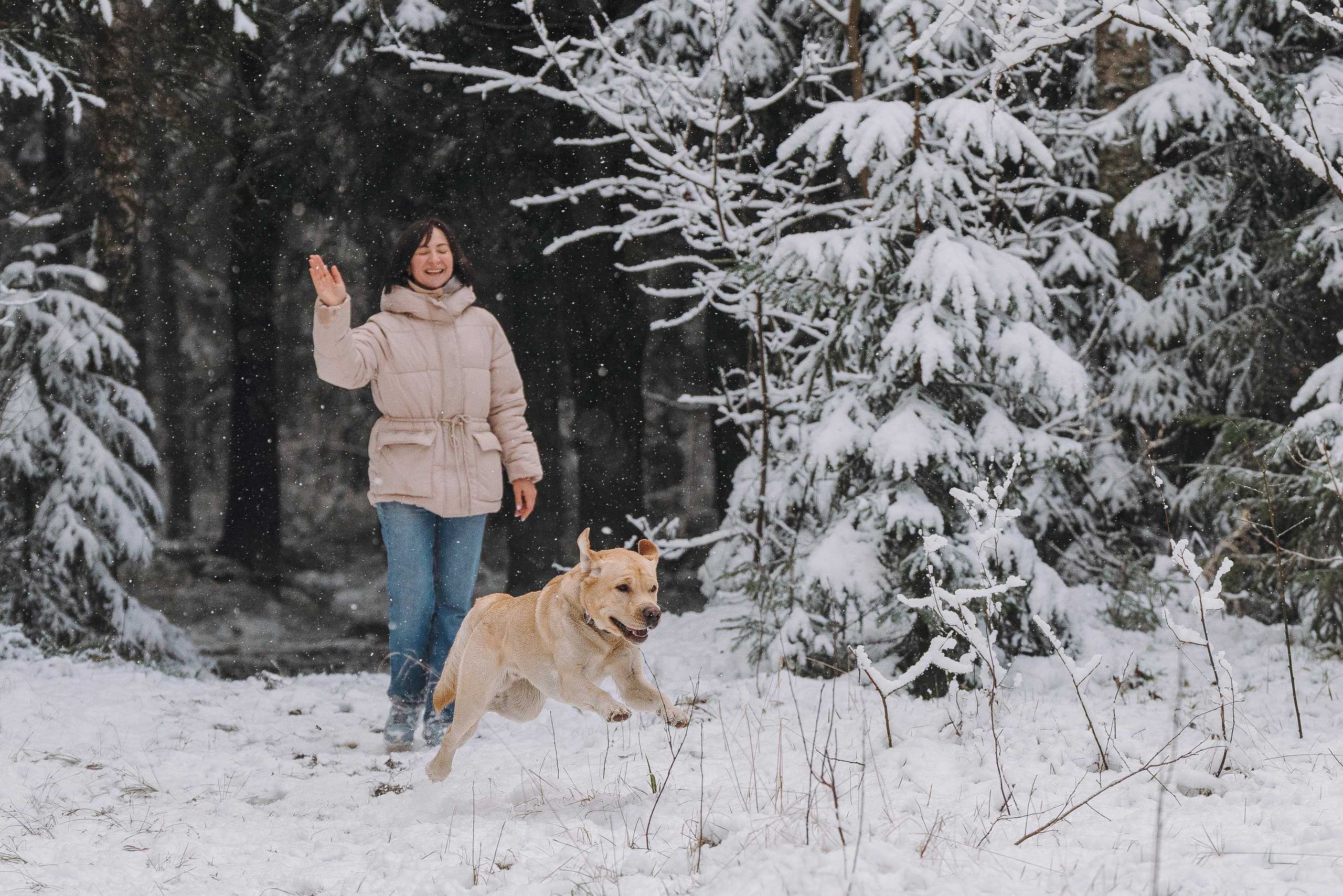 Аня и Честер. Фотограф анималист в Спб недорого Олеся Майорова