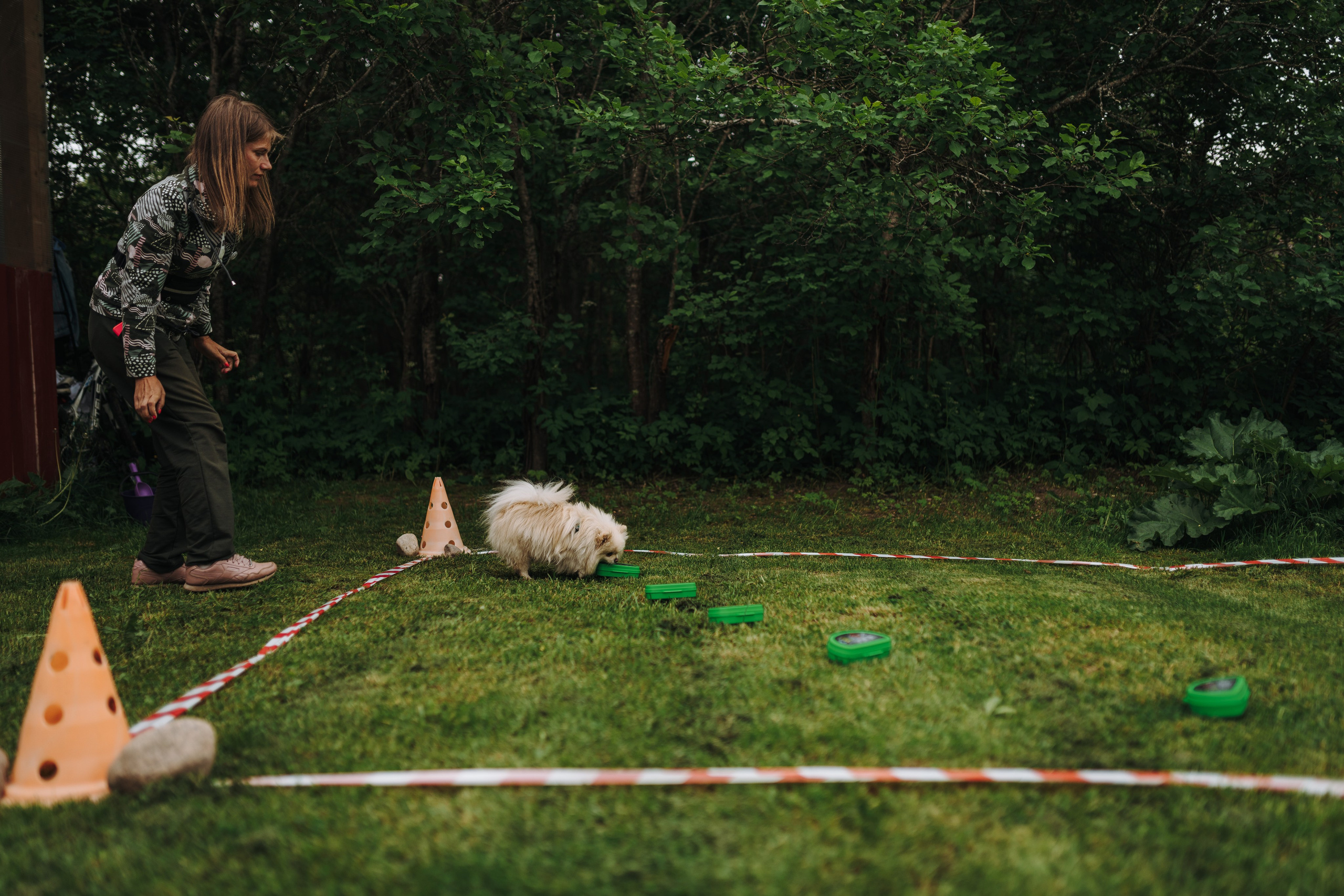 Соревнования по ноузворку. Фотограф анималист в Спб недорого Олеся Майорова