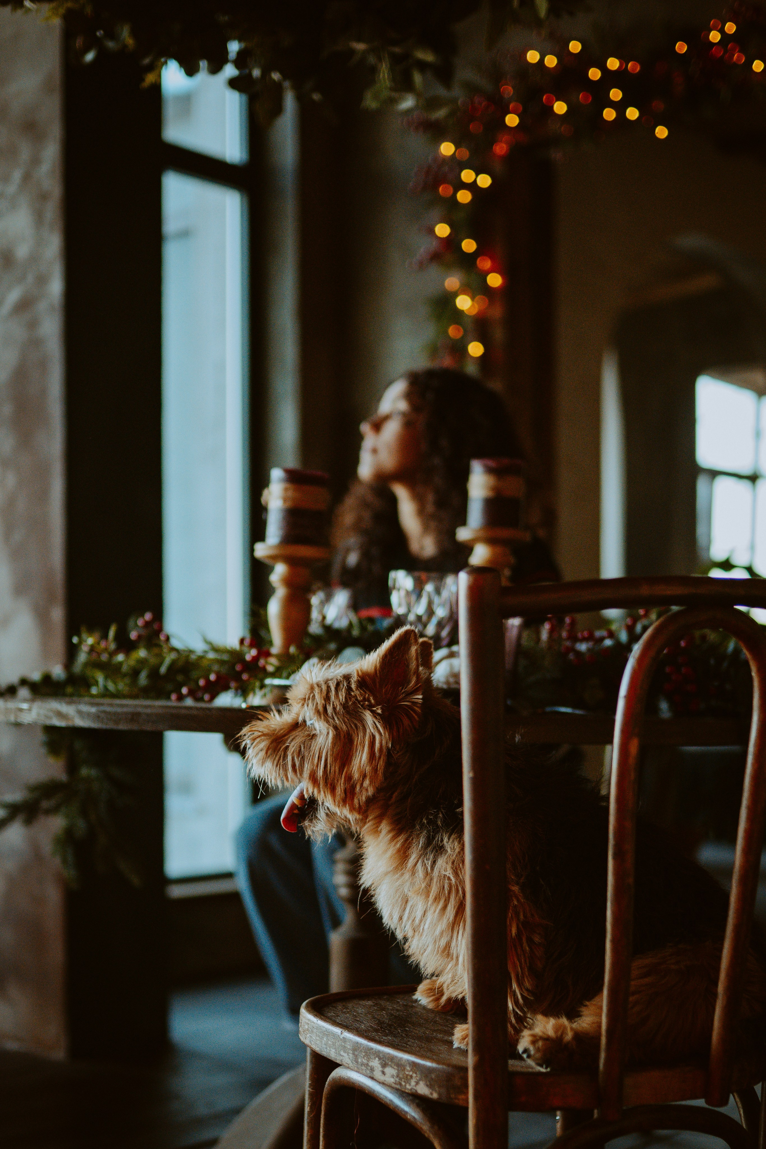 Фотосессия с собакой в студии. Фотограф анималист в Спб недорого Олеся Майорова