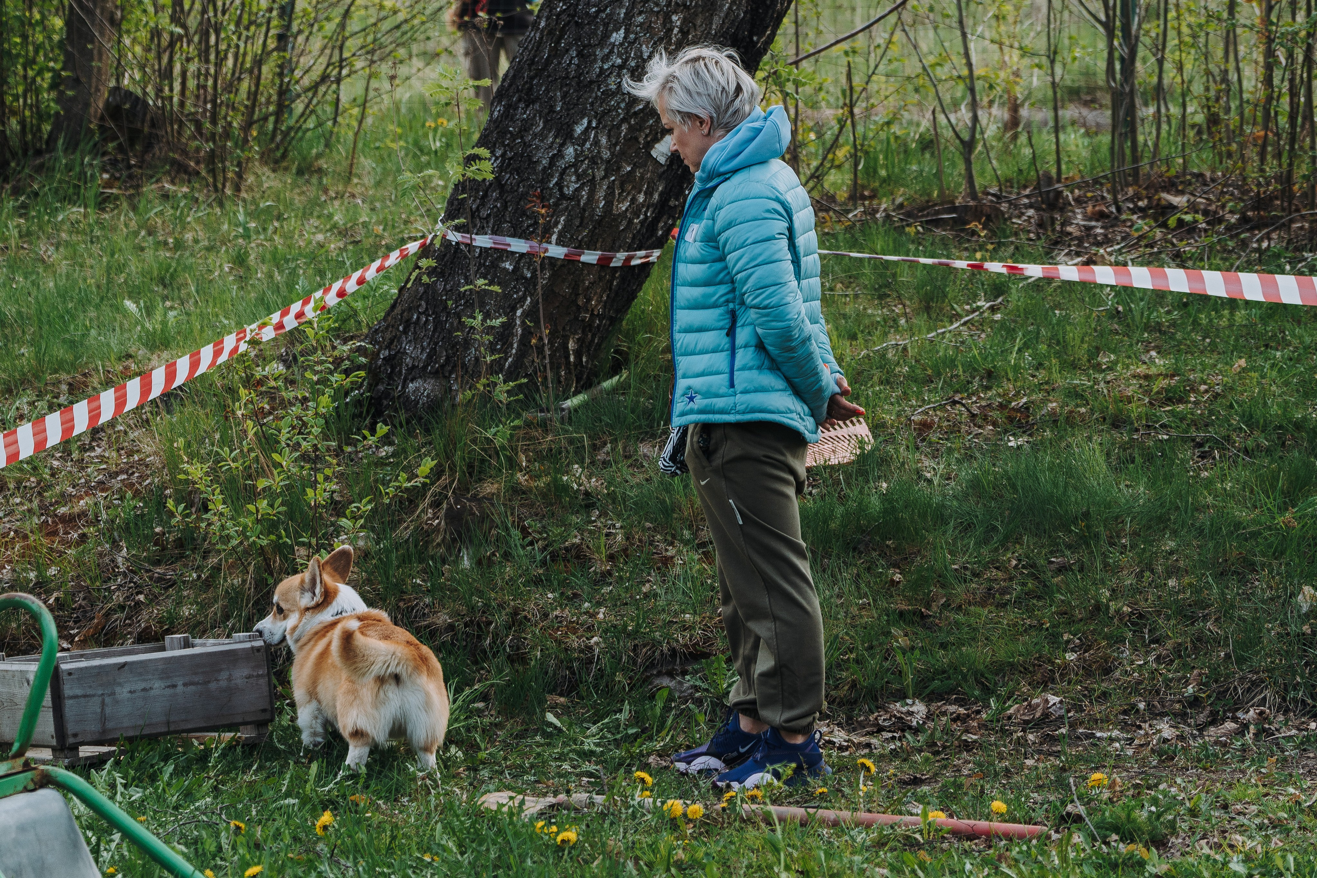 Соревнования по ноузворку в Лосево. Фотограф анималист в Спб недорого Олеся Майорова