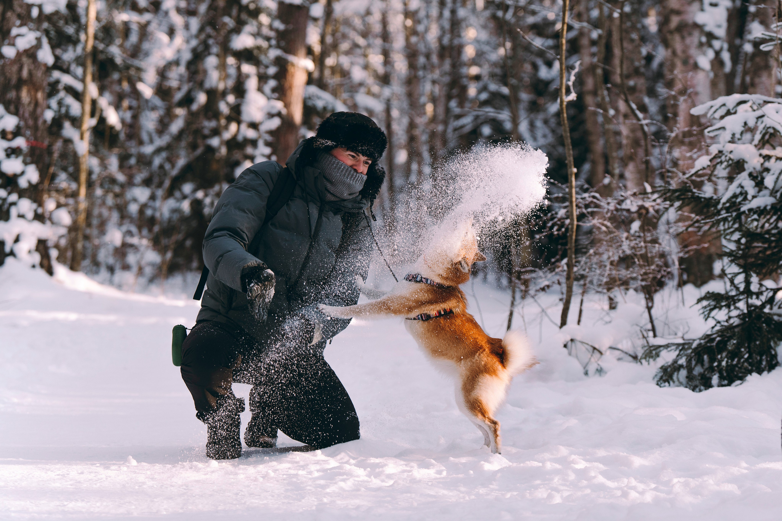 Каори, Анна и Антон. Фотограф анималист в Спб недорого Олеся Майорова