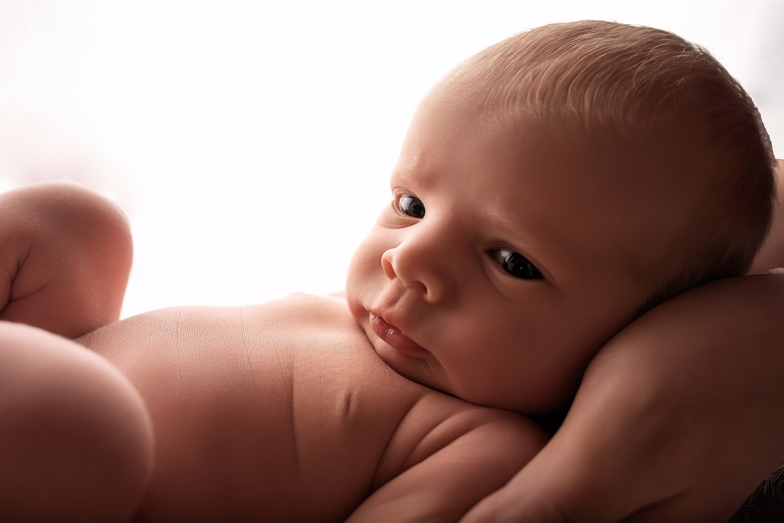 Новорождённые девочки. Детский фотограф новорождённых в Минске Боровик Екатерина